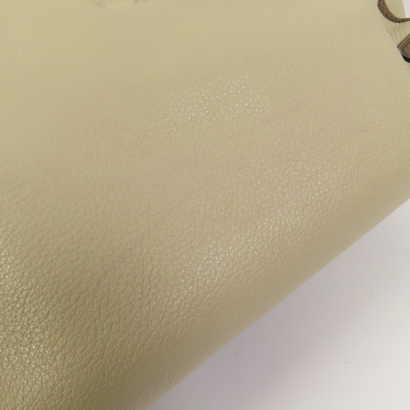 LOEWE 牛皮皮革Amazona 28金扣手挽袋