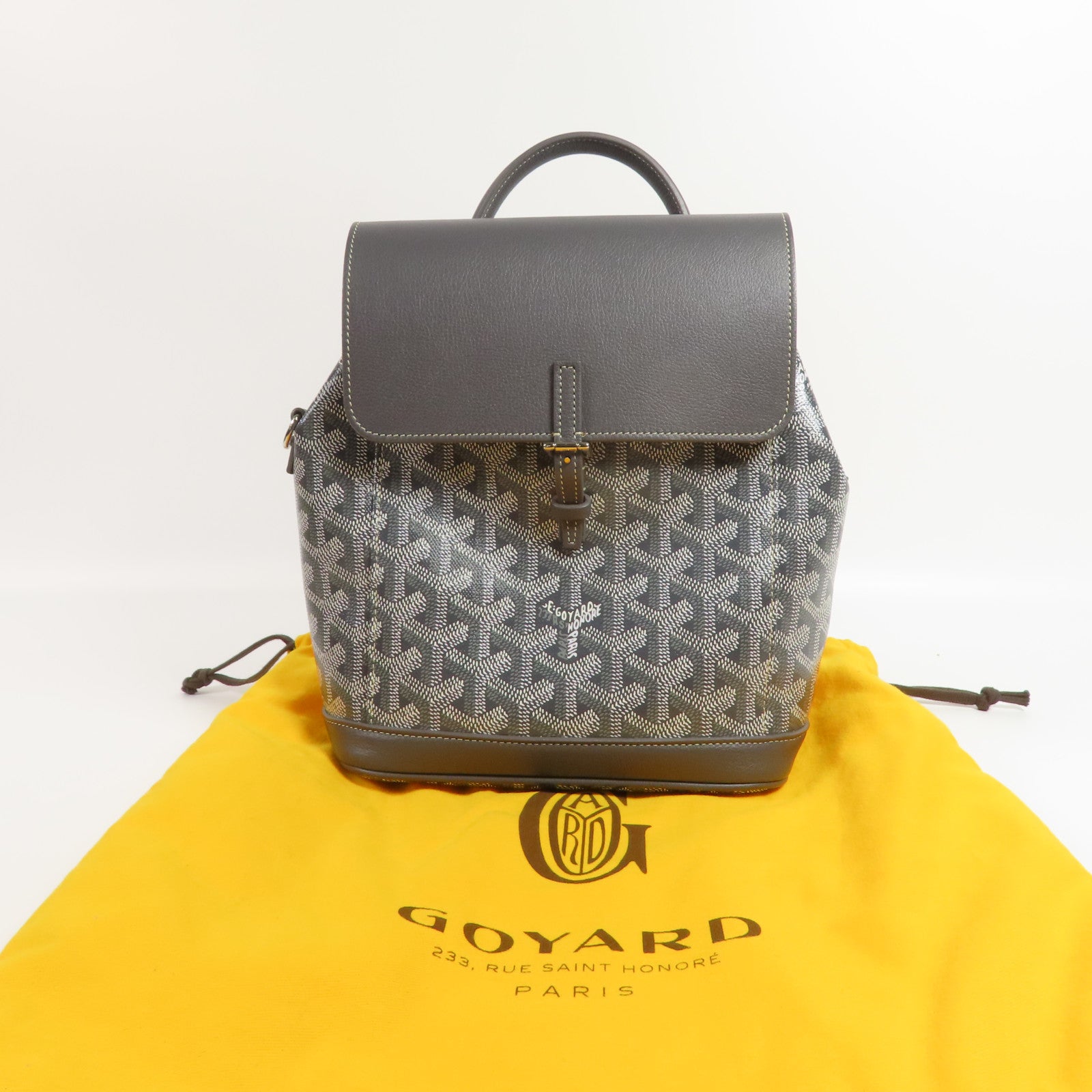 GOYARD 塗層帆布Rucksack銀扣背包