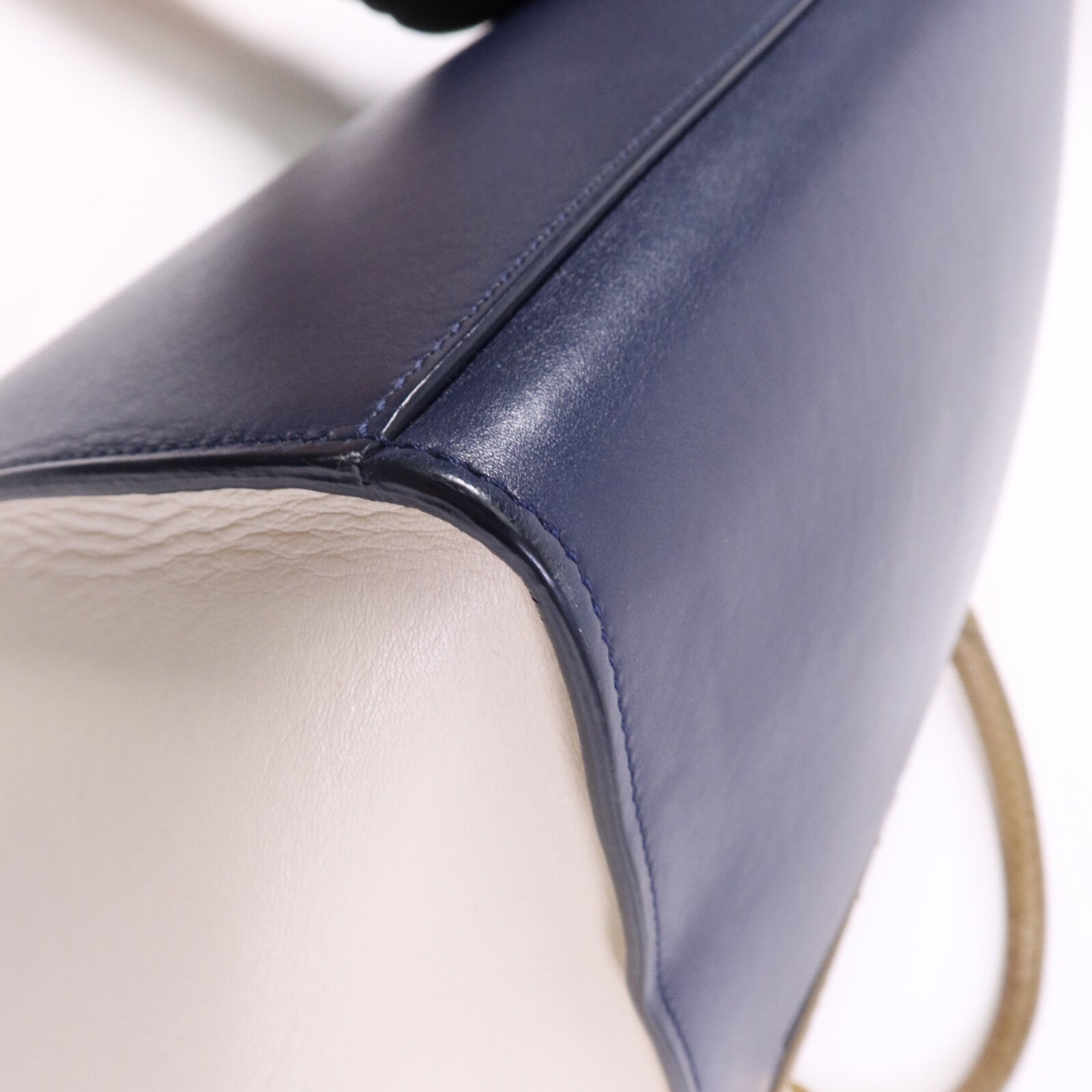 CELINE 牛皮/蛇皮皮革Trapeze金扣手挽肩背兩用袋