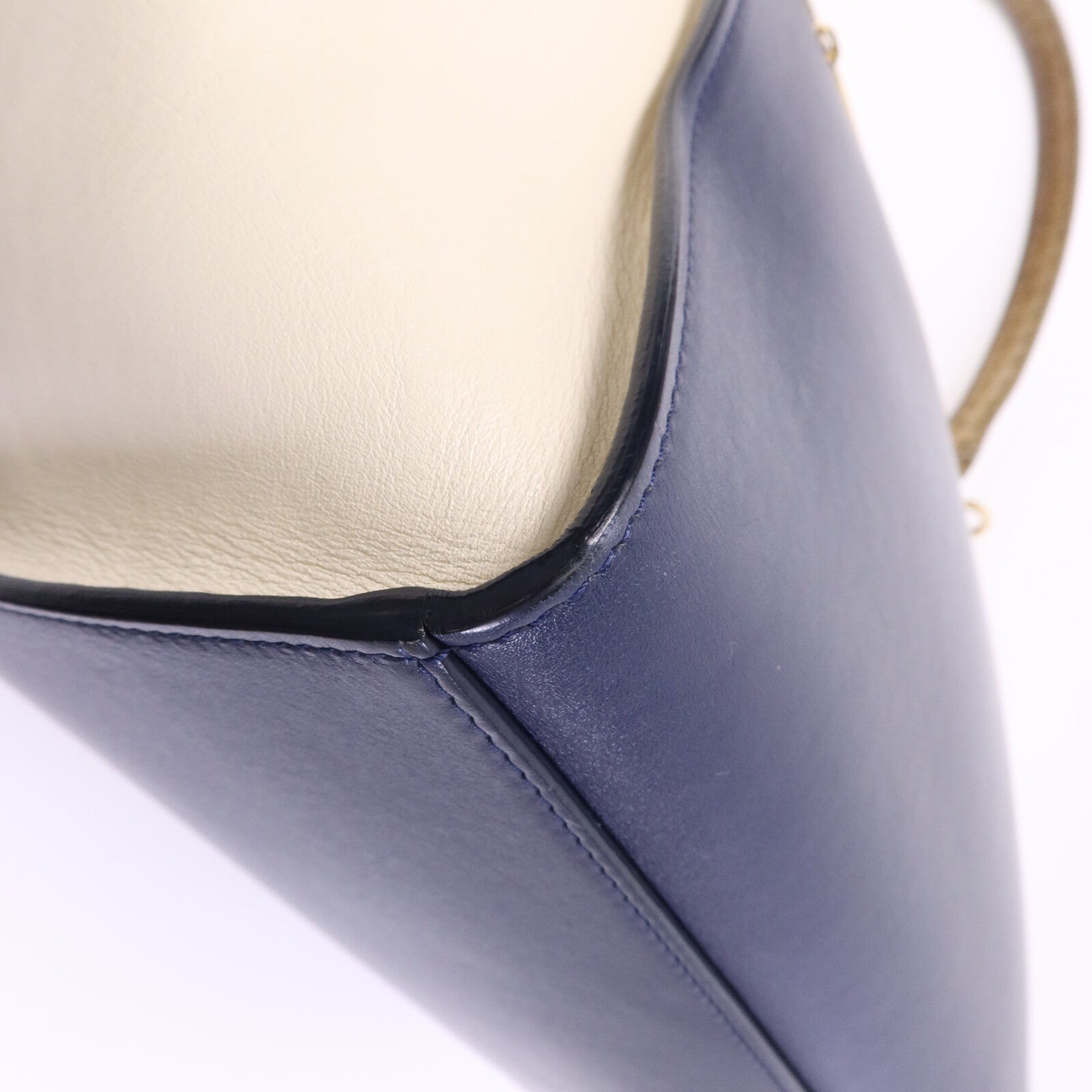 CELINE 牛皮/蛇皮皮革Trapeze金扣手挽肩背兩用袋