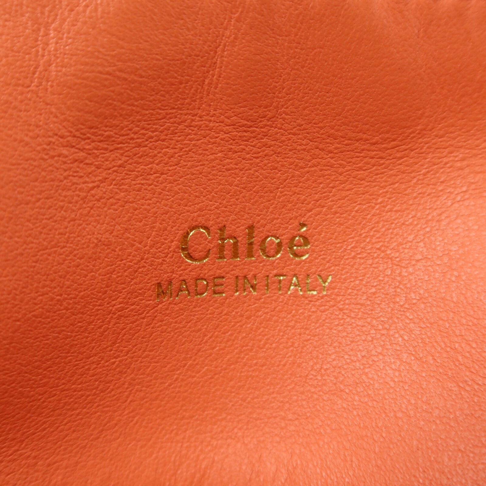 Chloe 【激減優惠】蛇皮皮革/牛皮皮革2 way Shoulder金扣手挽肩背兩用袋
