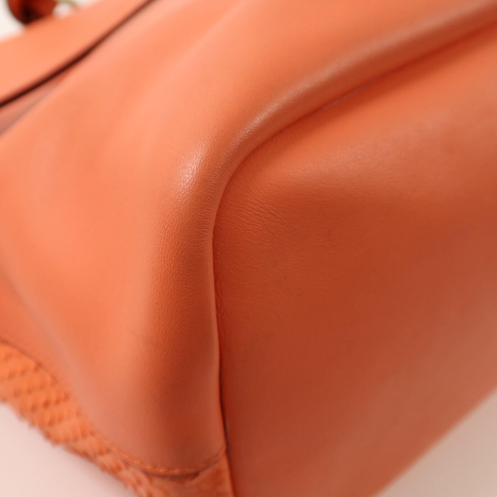Chloe 【激減優惠】蛇皮皮革/牛皮皮革2 way Shoulder金扣手挽肩背兩用袋