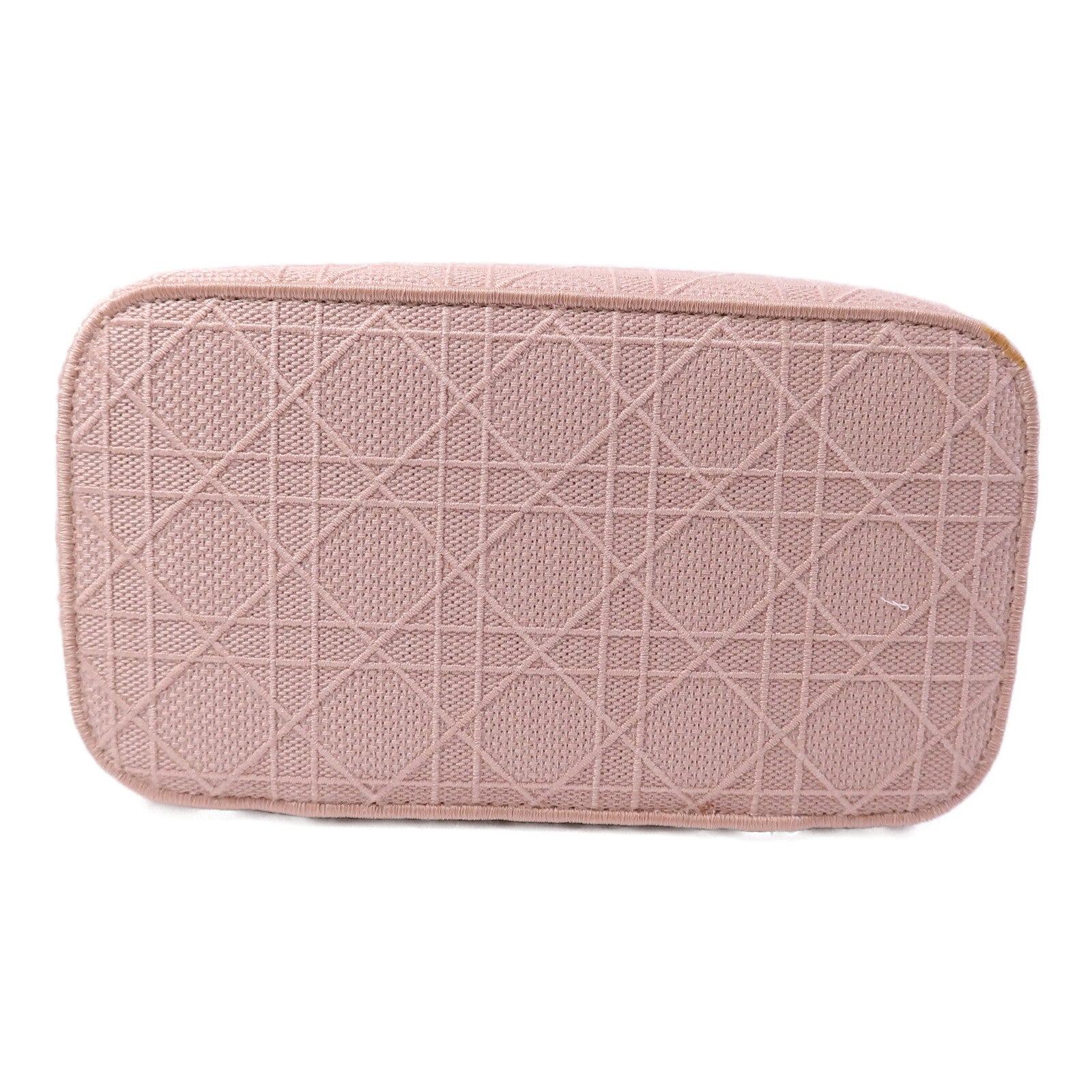 Dior 帆布Vanity case手挽袋