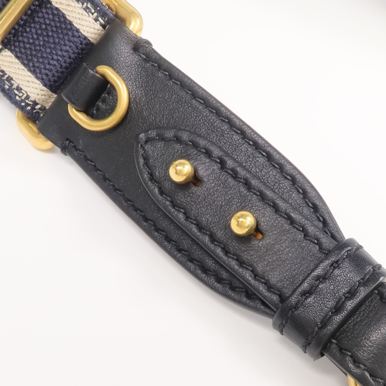 Dior 帆布Strap金扣肩背帶