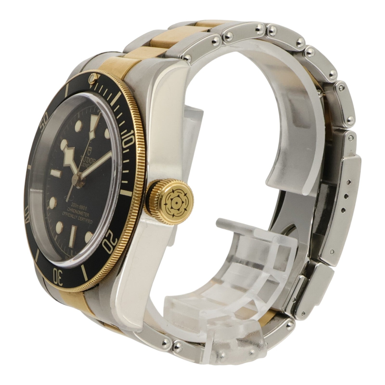 TUDOR Black Bay S&G 79733N