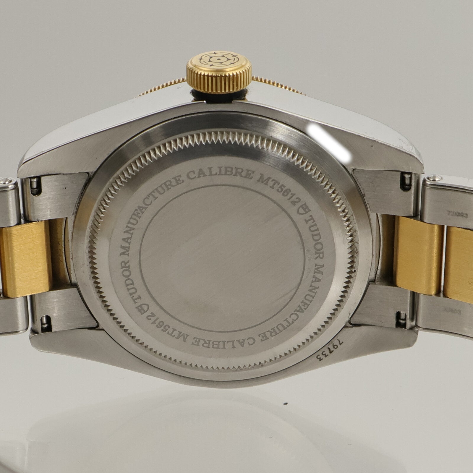 TUDOR Black Bay S&G 79733N