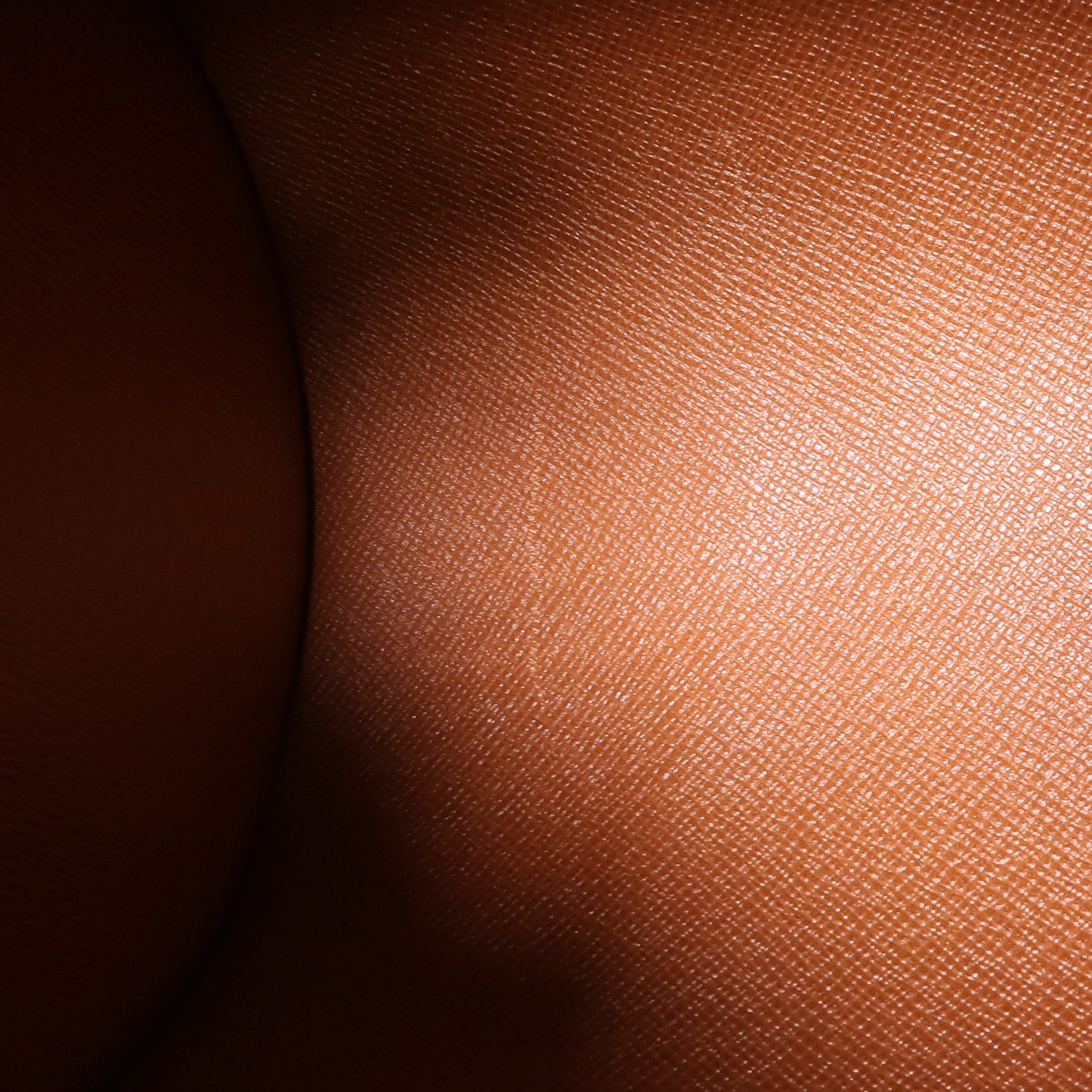 LOUIS VUITTON Monogram Papillon PM金扣手挽袋