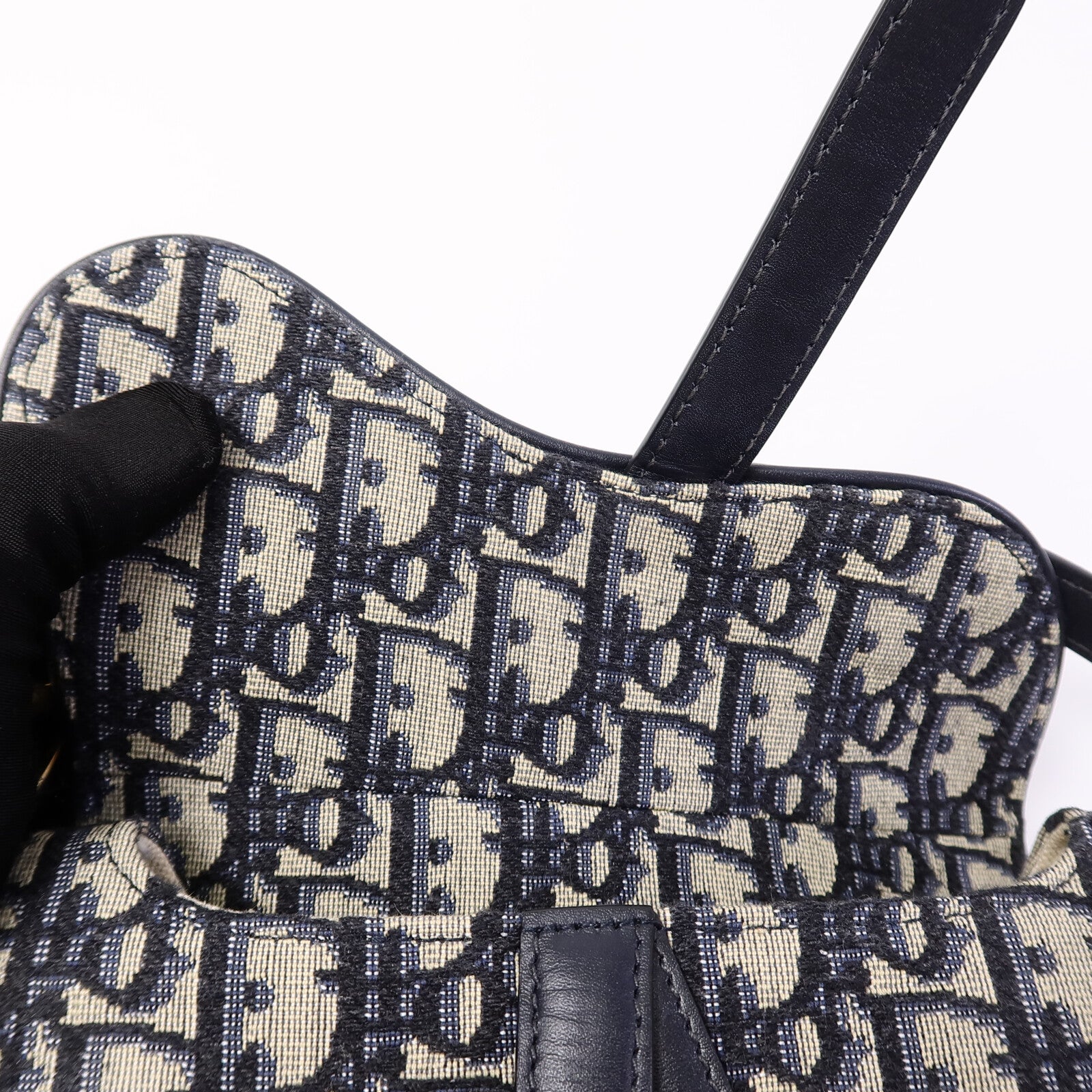 Dior 帆布Saddle Mini手挽袋