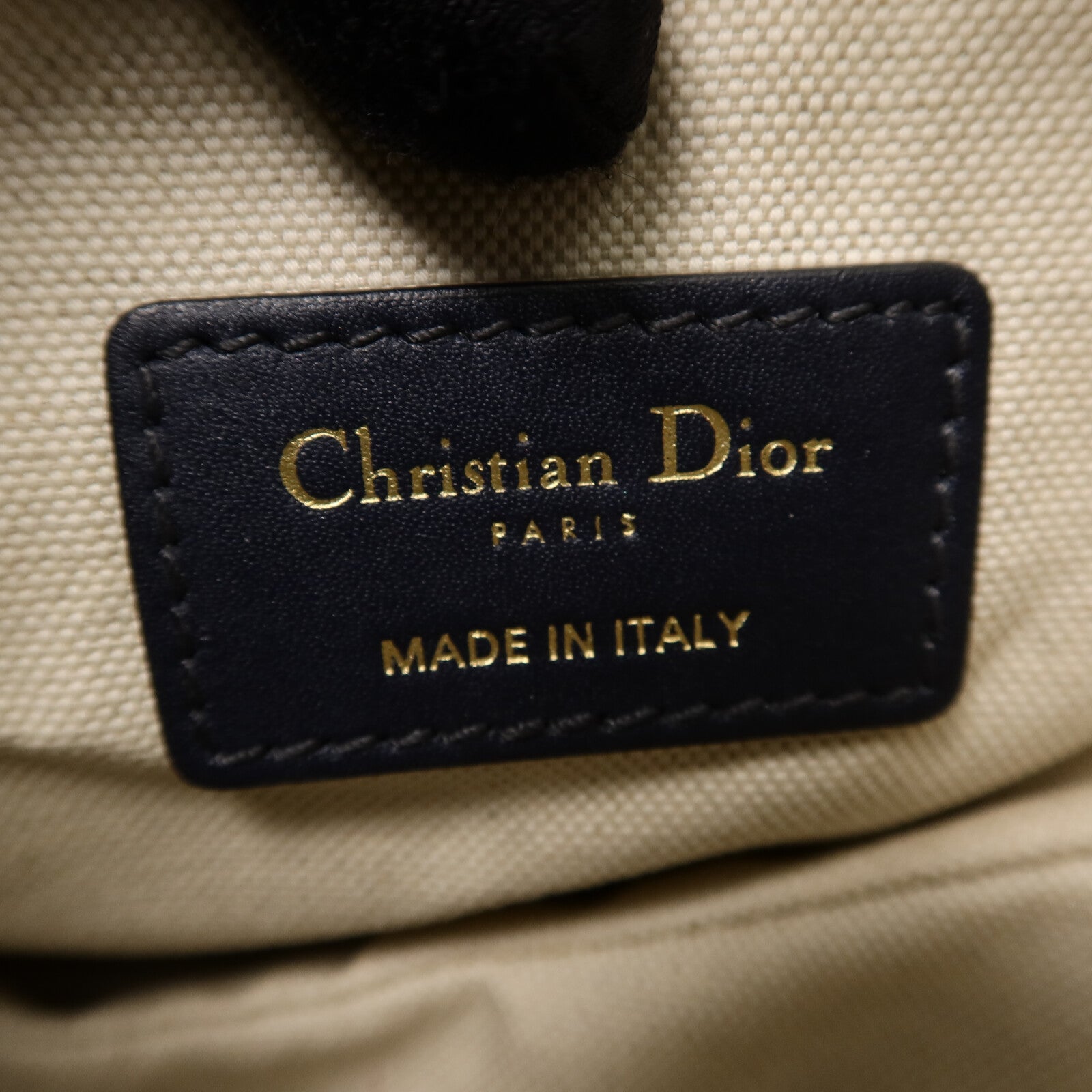 Dior 帆布Saddle Mini手挽袋