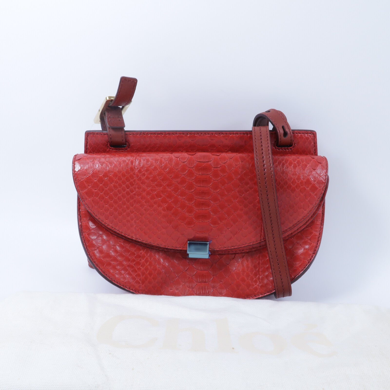 Chloe 蛇皮皮革Georgia Shoulder Bag肩背袋