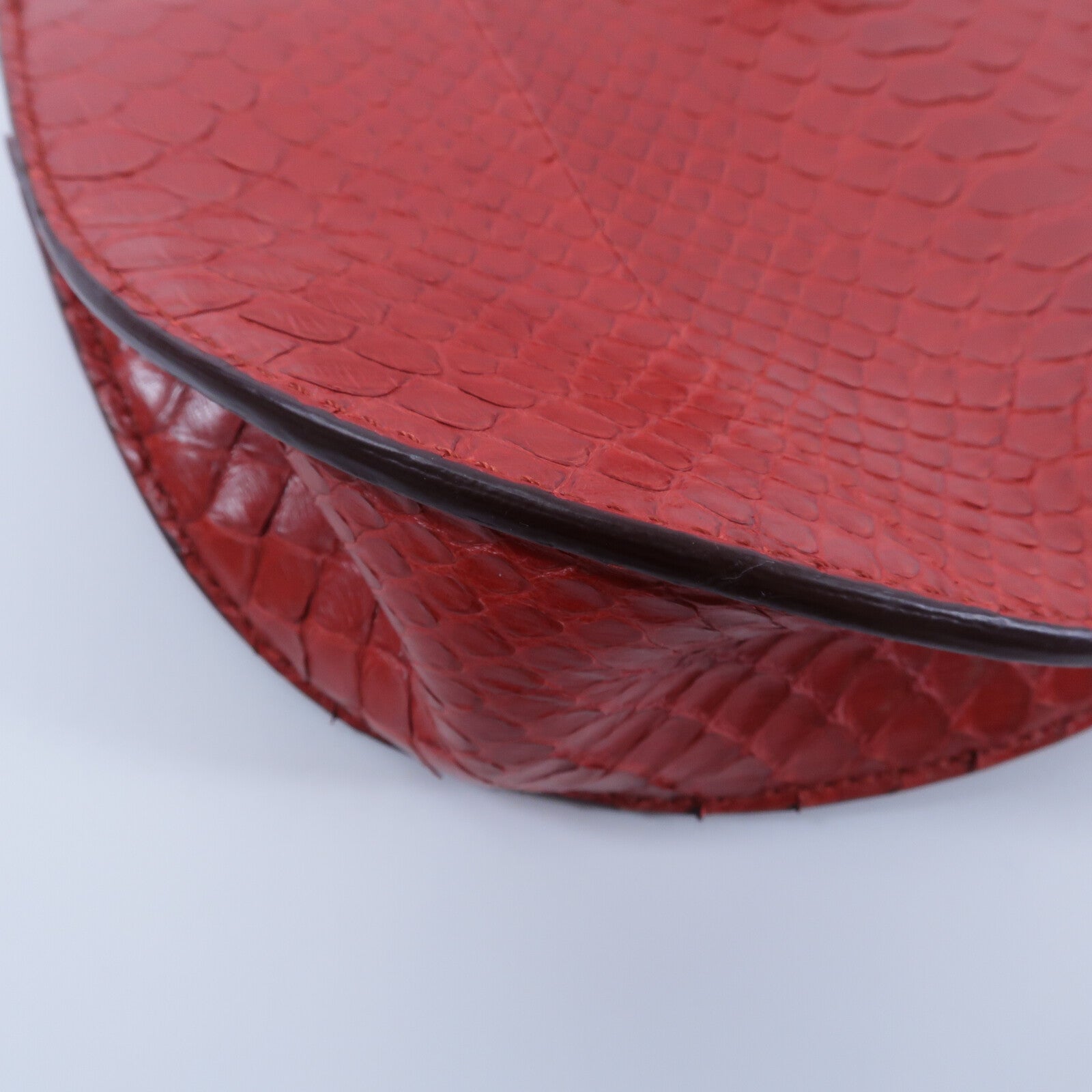 Chloe 蛇皮皮革Georgia Shoulder Bag肩背袋