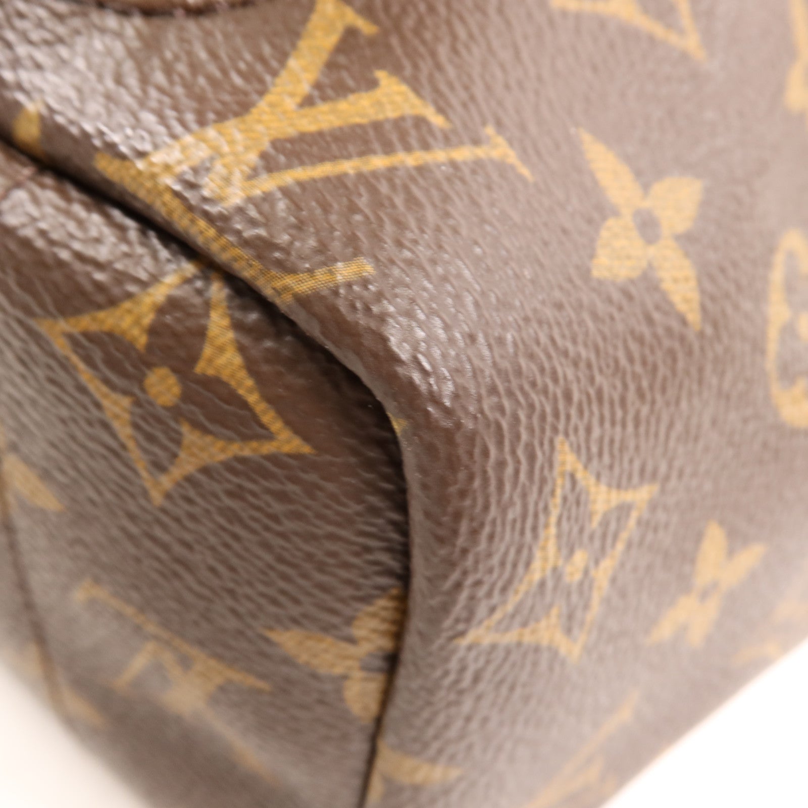 LOUIS VUITTON Monogram Palm Spring金扣背包