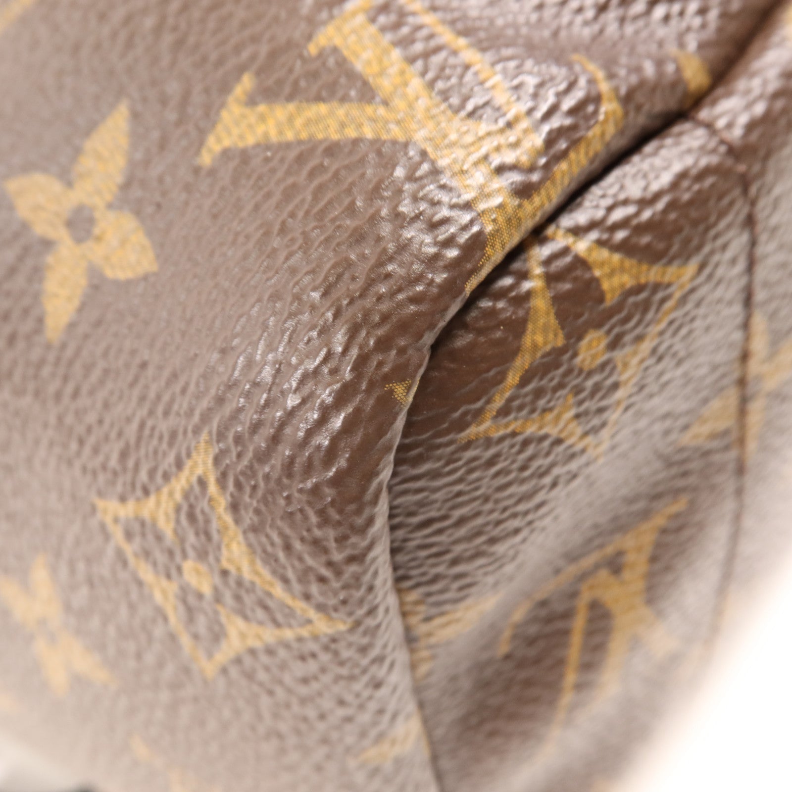 LOUIS VUITTON Monogram Palm Spring金扣背包