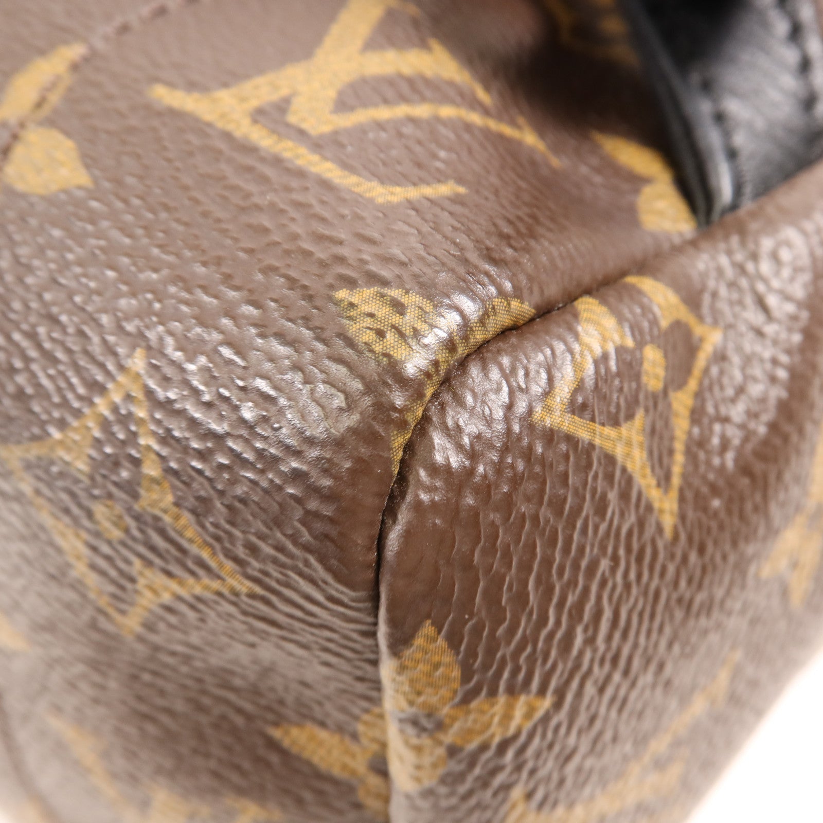 LOUIS VUITTON Monogram Palm Spring金扣背包