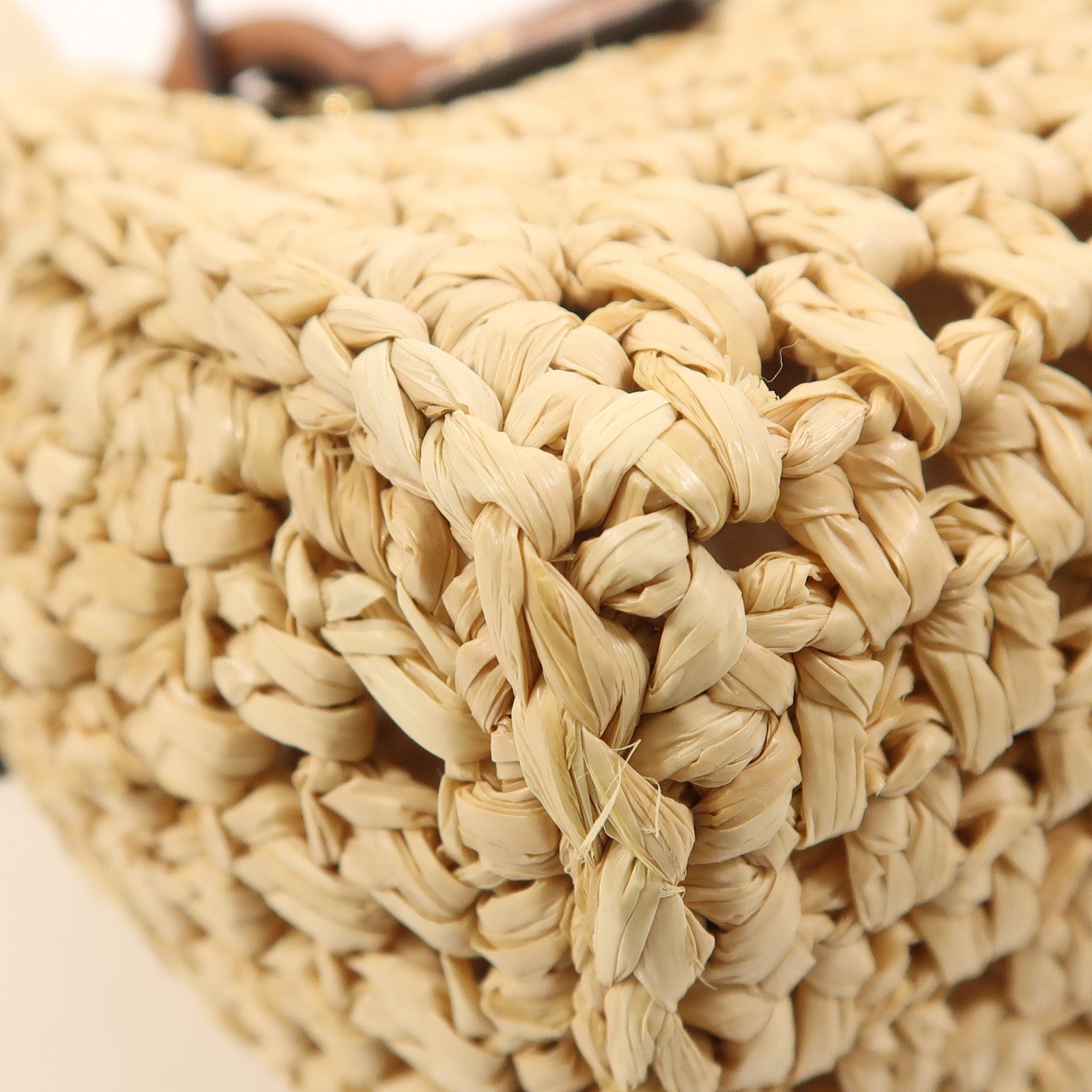 LOUIS VUITTON Raffia Nano Speedy金扣手挽肩背兩用袋