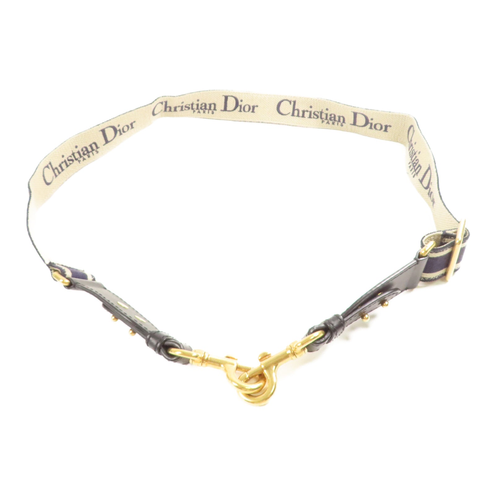 Dior 帆布Strap金扣肩背帶
