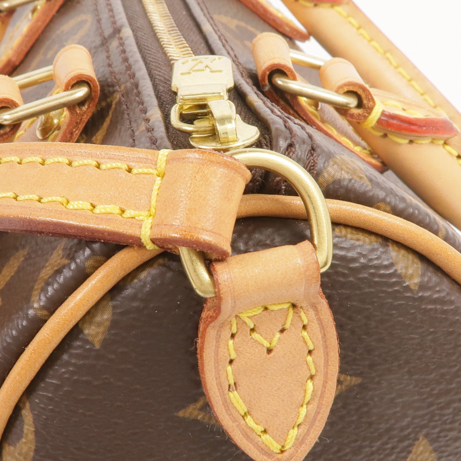 LOUIS VUITTON Monogram Nano Speedy金扣手挽肩背兩用袋棕色