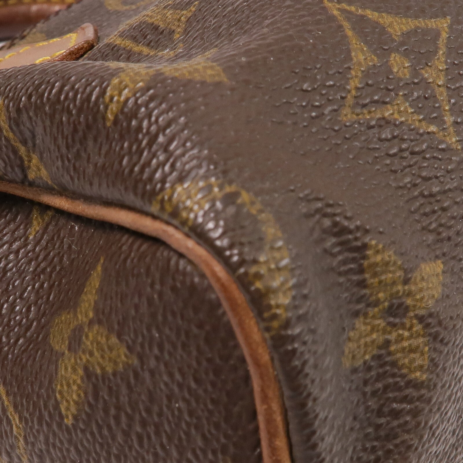 LOUIS VUITTON Monogram Speedy Mini手挽袋棕色