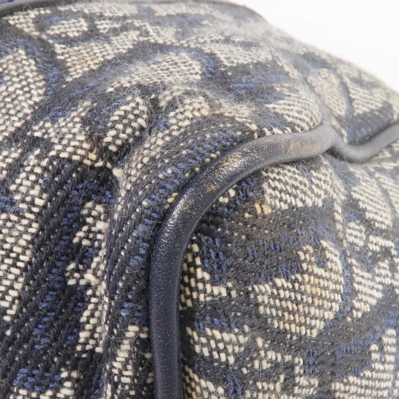 Dior 帆布Handbag金扣手挽袋