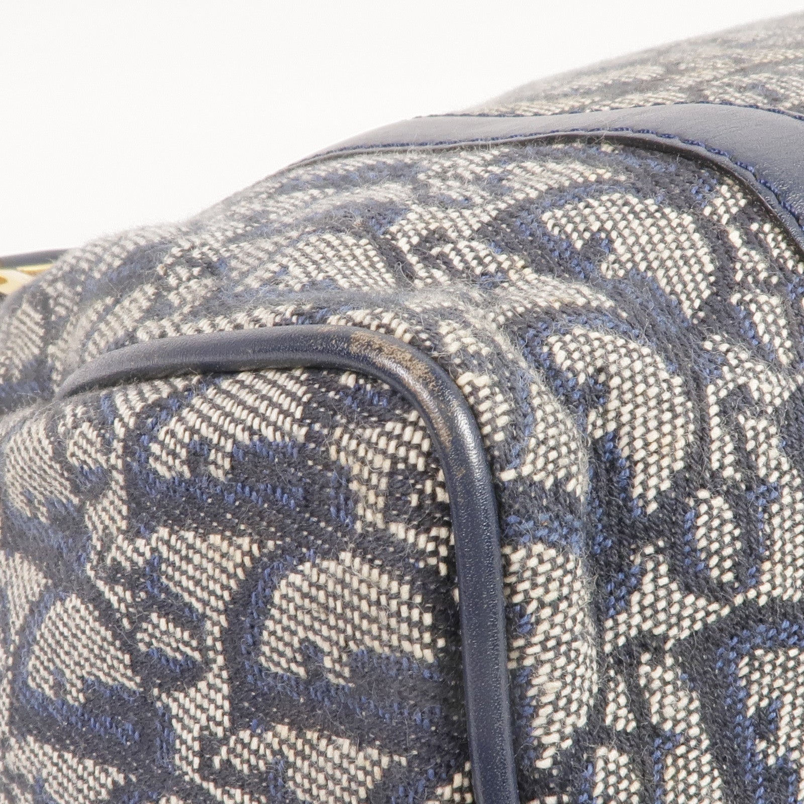 Dior 帆布Handbag金扣手挽袋