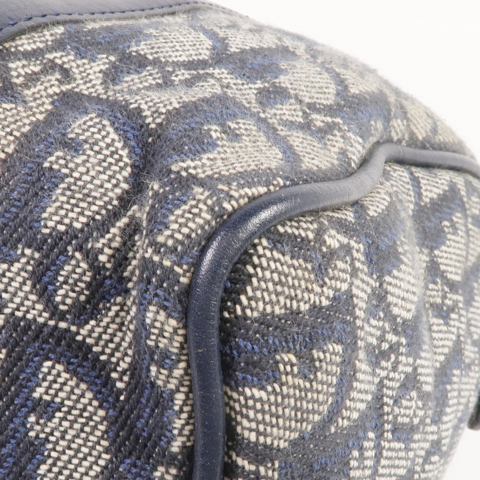 Dior 帆布Handbag金扣手挽袋