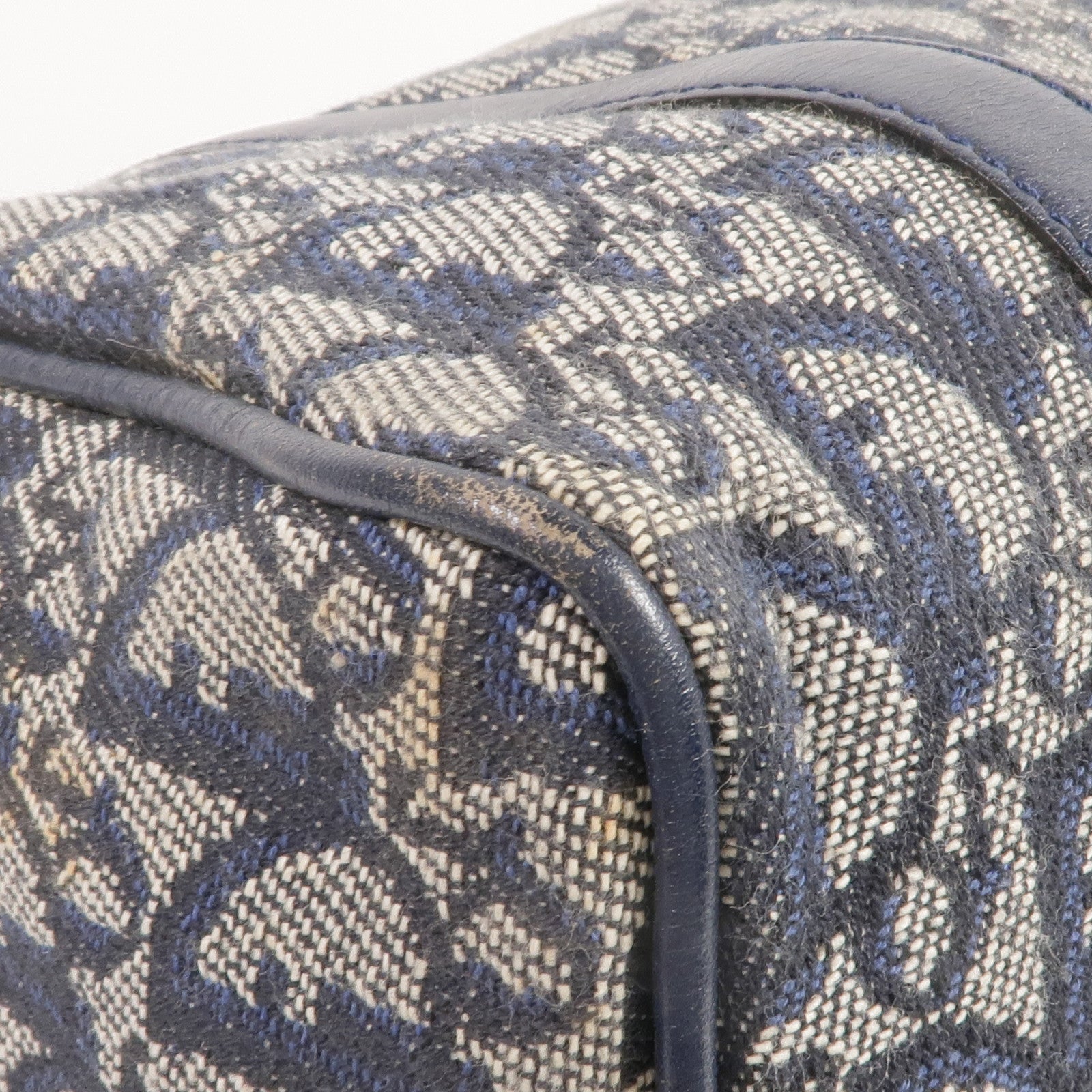 Dior 帆布Handbag金扣手挽袋