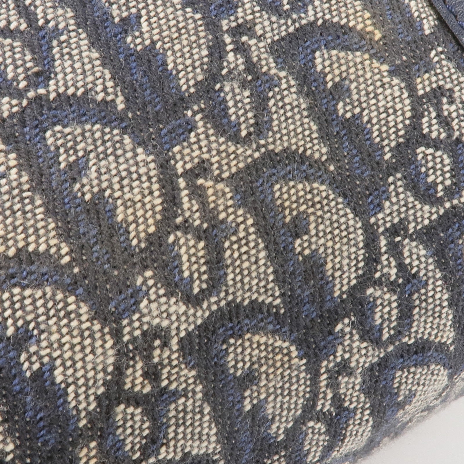 Dior 帆布Handbag金扣手挽袋
