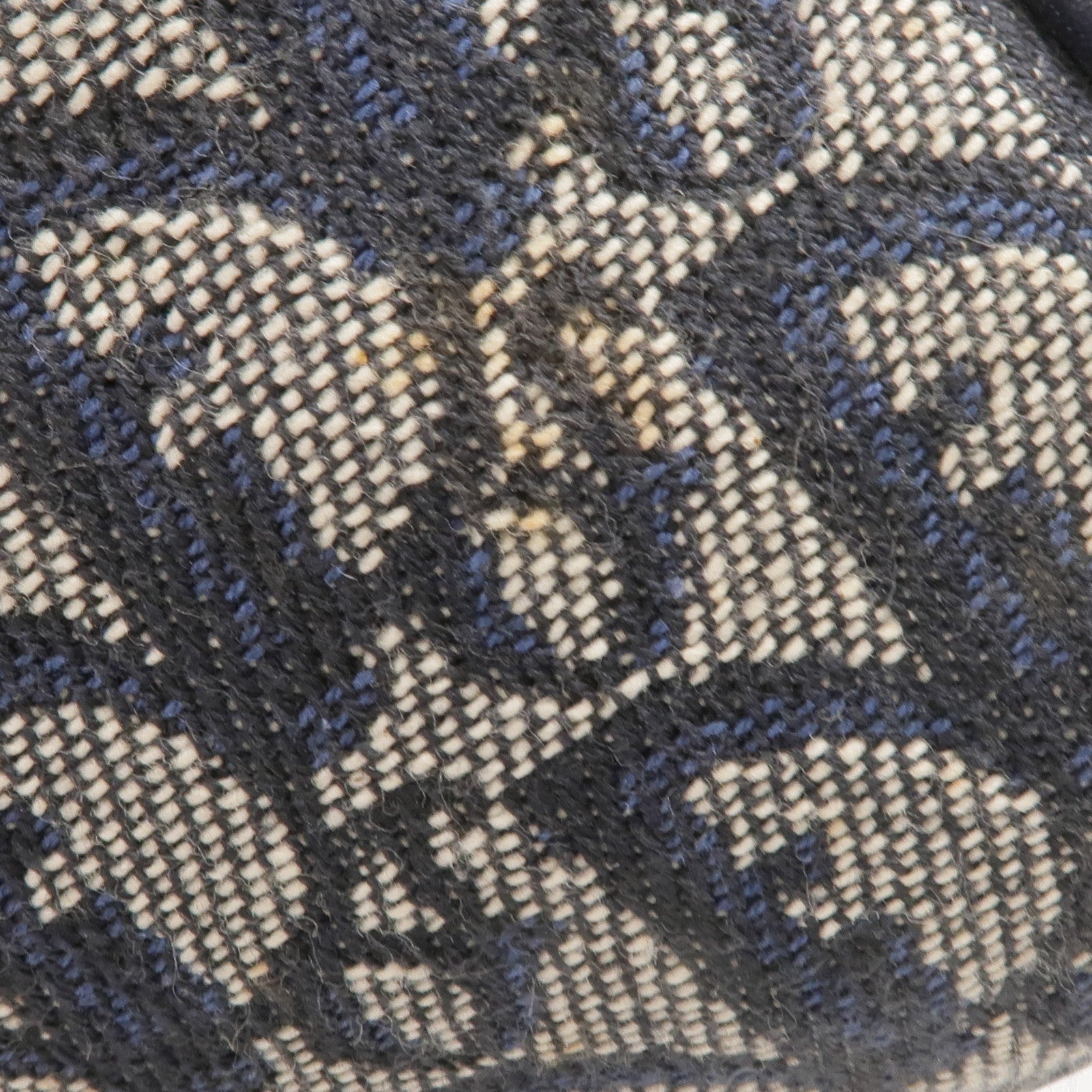 Dior 帆布Handbag金扣手挽袋