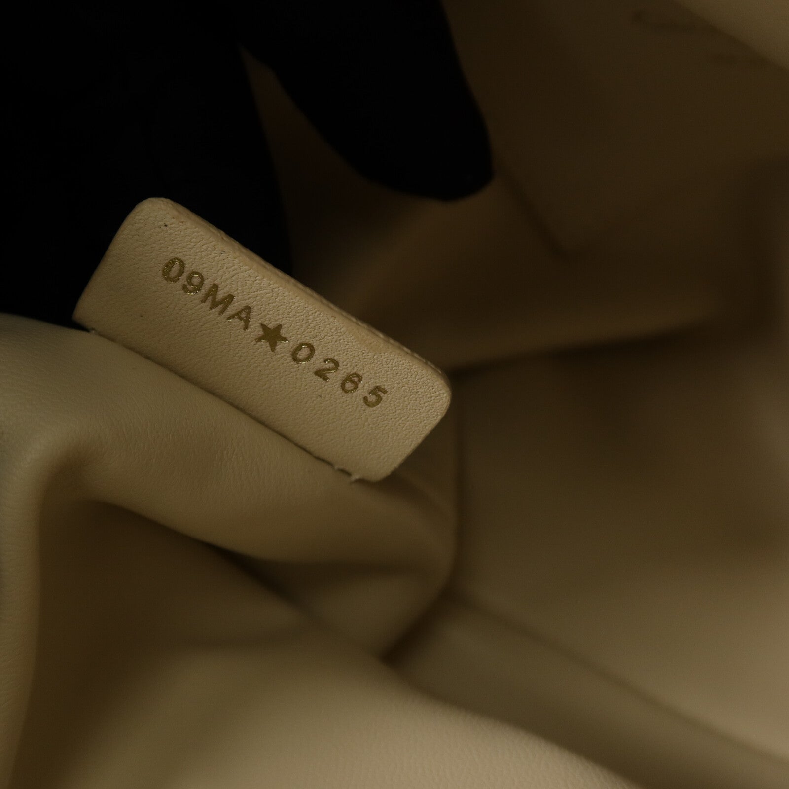 Dior 羊皮皮革Toujours Small肩背袋