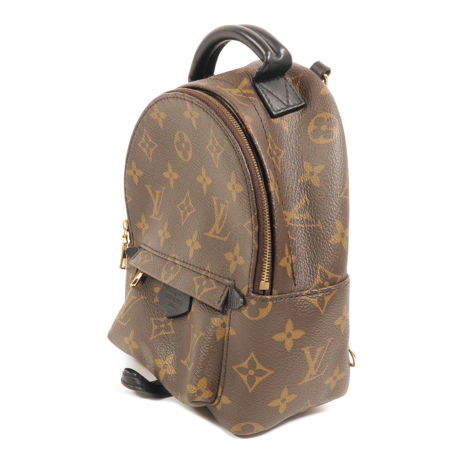 LOUIS VUITTON Monogram Palm Springs Mini Backpack金扣背包