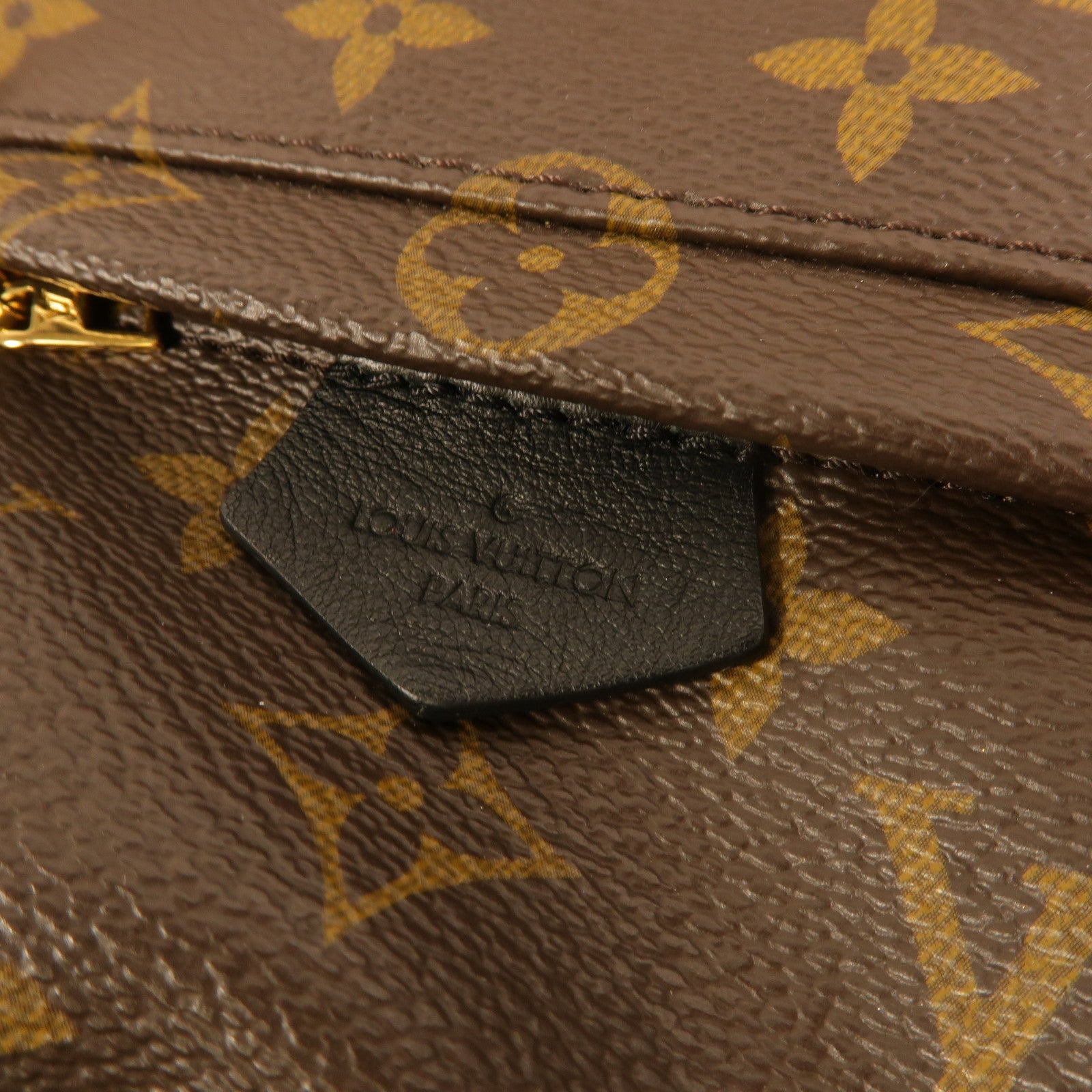 LOUIS VUITTON Monogram Palm Springs Mini Backpack金扣背包