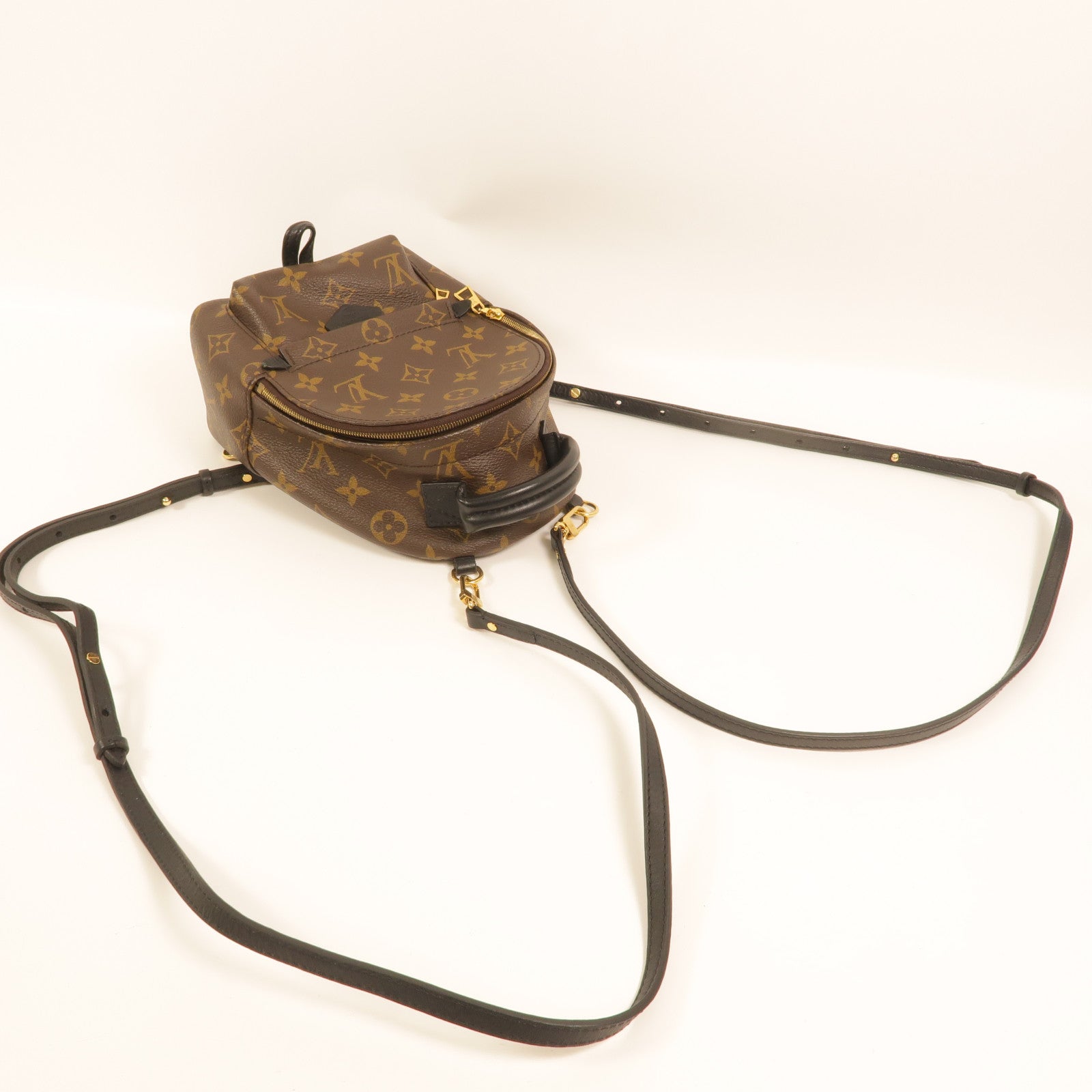 LOUIS VUITTON Monogram Palm Springs Mini Backpack金扣背包