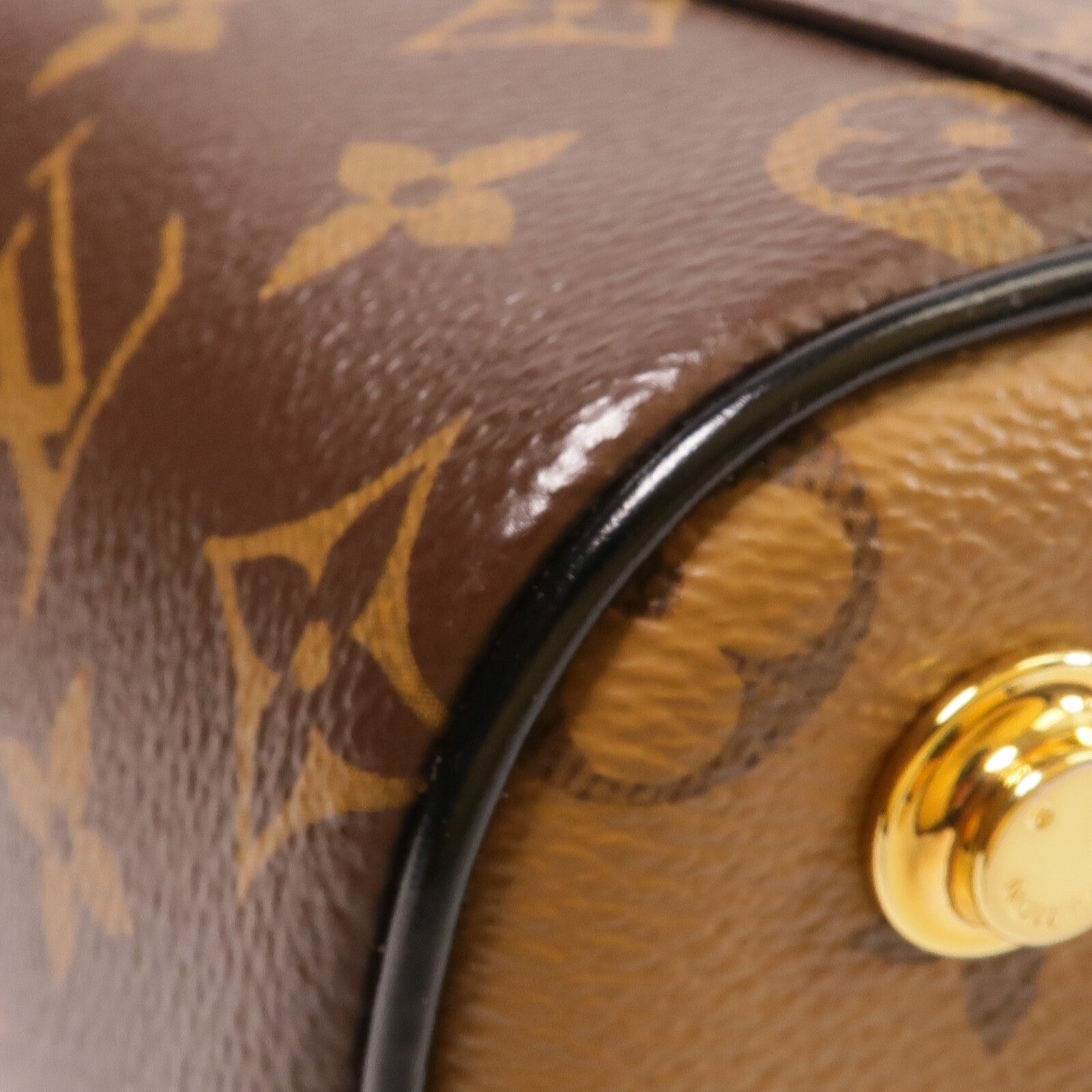 LOUIS VUITTON Monogram/Monogram Reverse Vanity PM手挽肩背兩用袋棕色