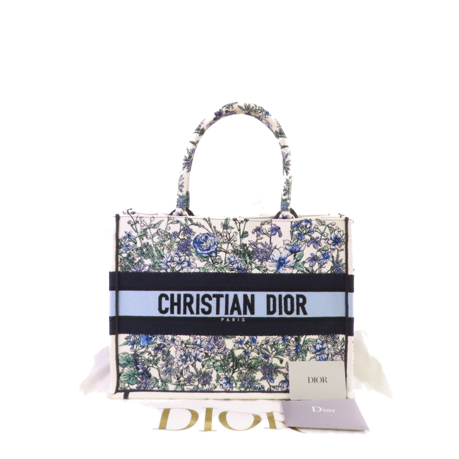 Dior 帆布Medium Dior Book Tote Bag白色/藍色