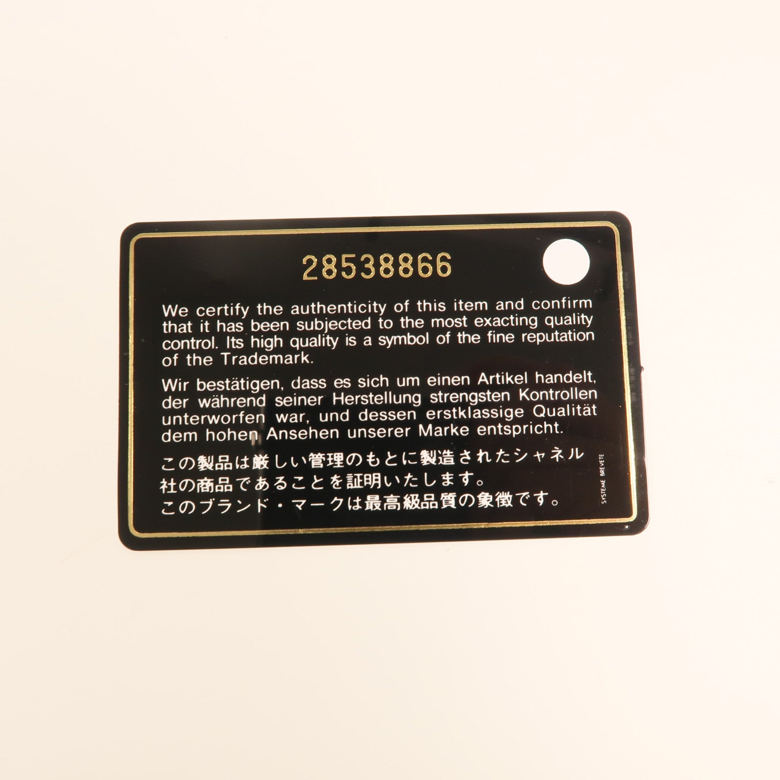 CHANEL 羊皮皮革19 Camera Bag金扣鏈帶肩背袋
