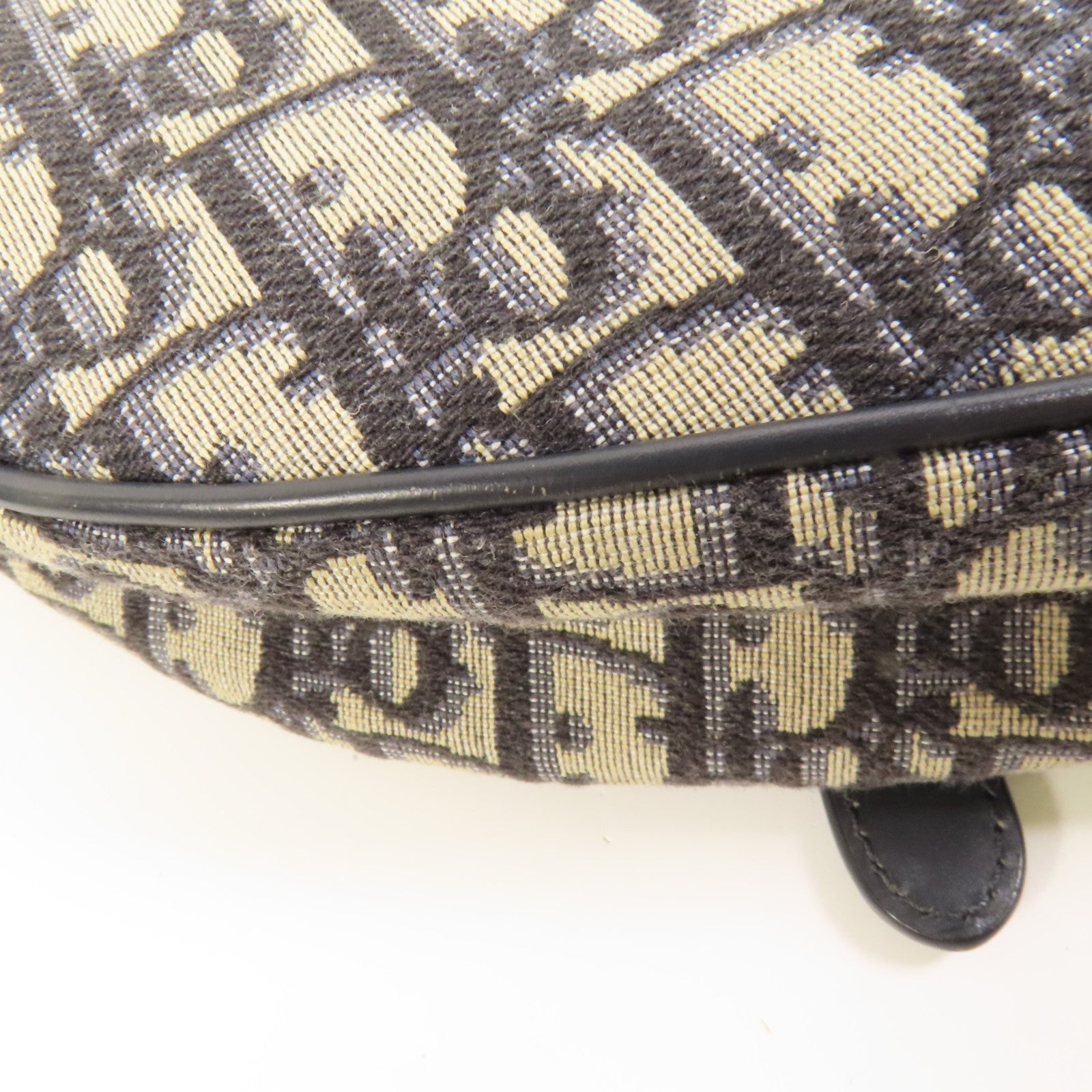 Dior 帆布Saddle金扣肩背袋