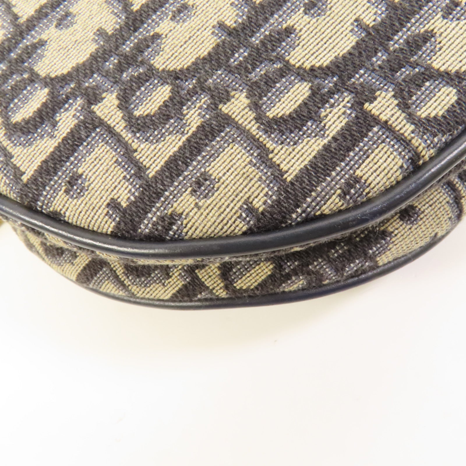Dior 帆布Saddle金扣肩背袋