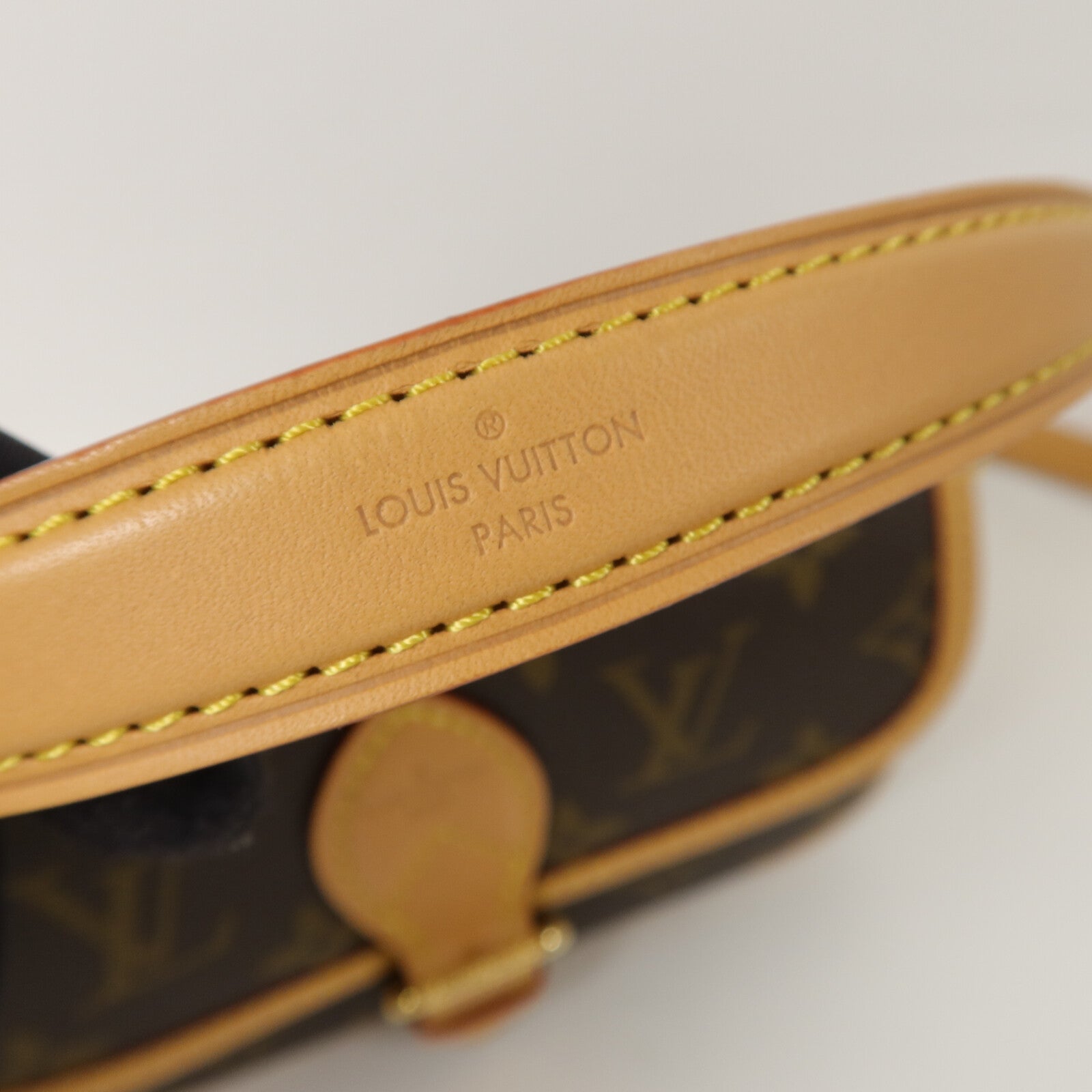 LOUIS VUITTON Monogram Nano Diane手挽肩背兩用袋