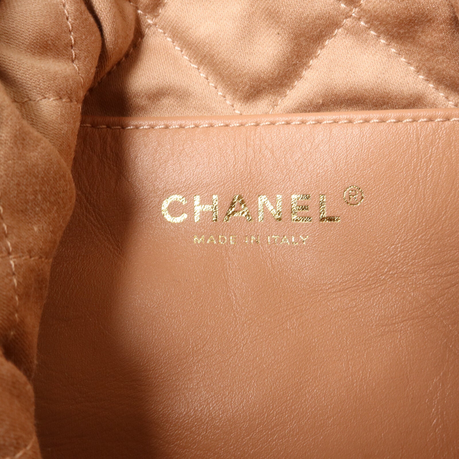 CHANEL 牛皮皮革Chanel 22 Mini手挽肩背兩用袋