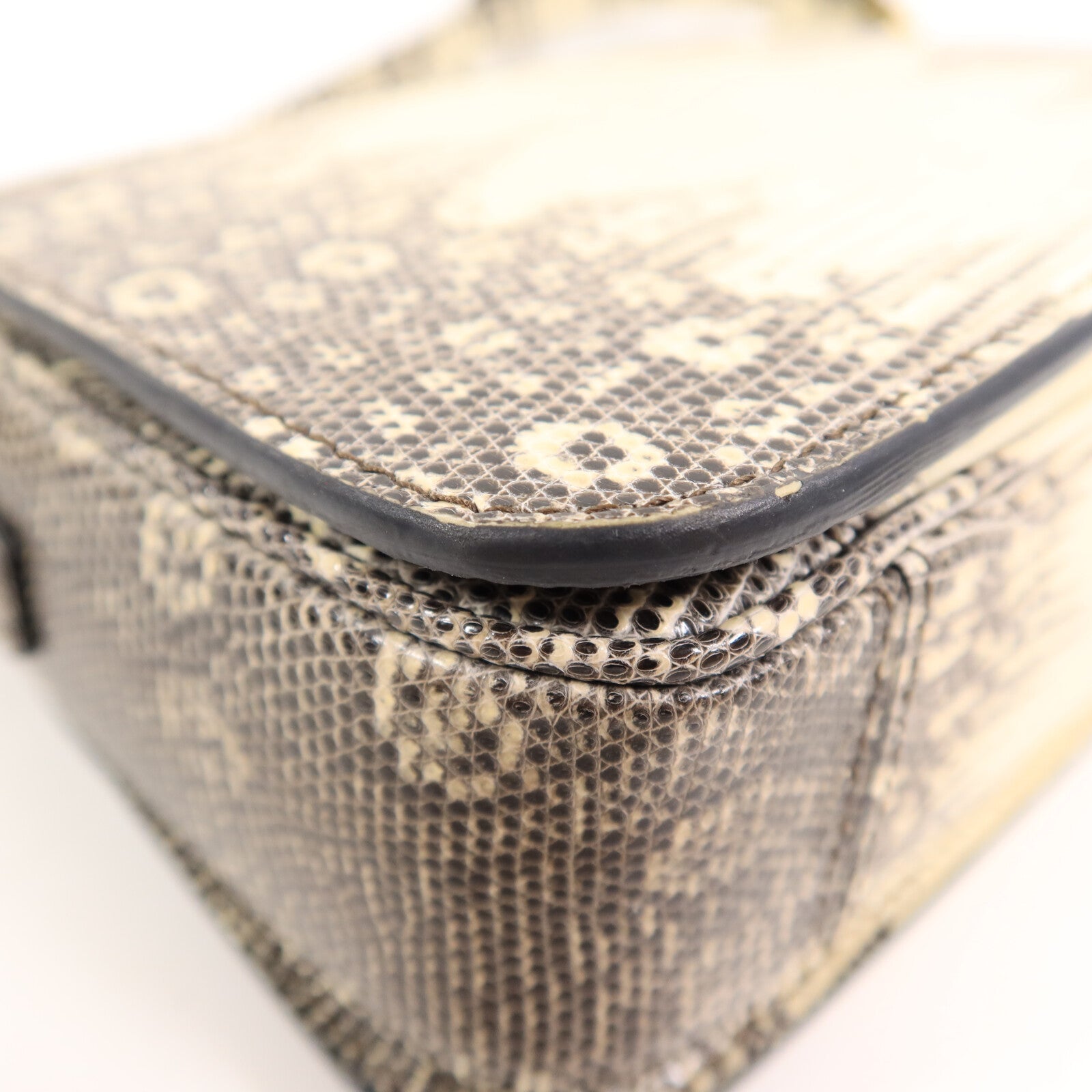 CELINE 蜥蝪皮革Teen Triomphe Bag In Lizard肩背袋