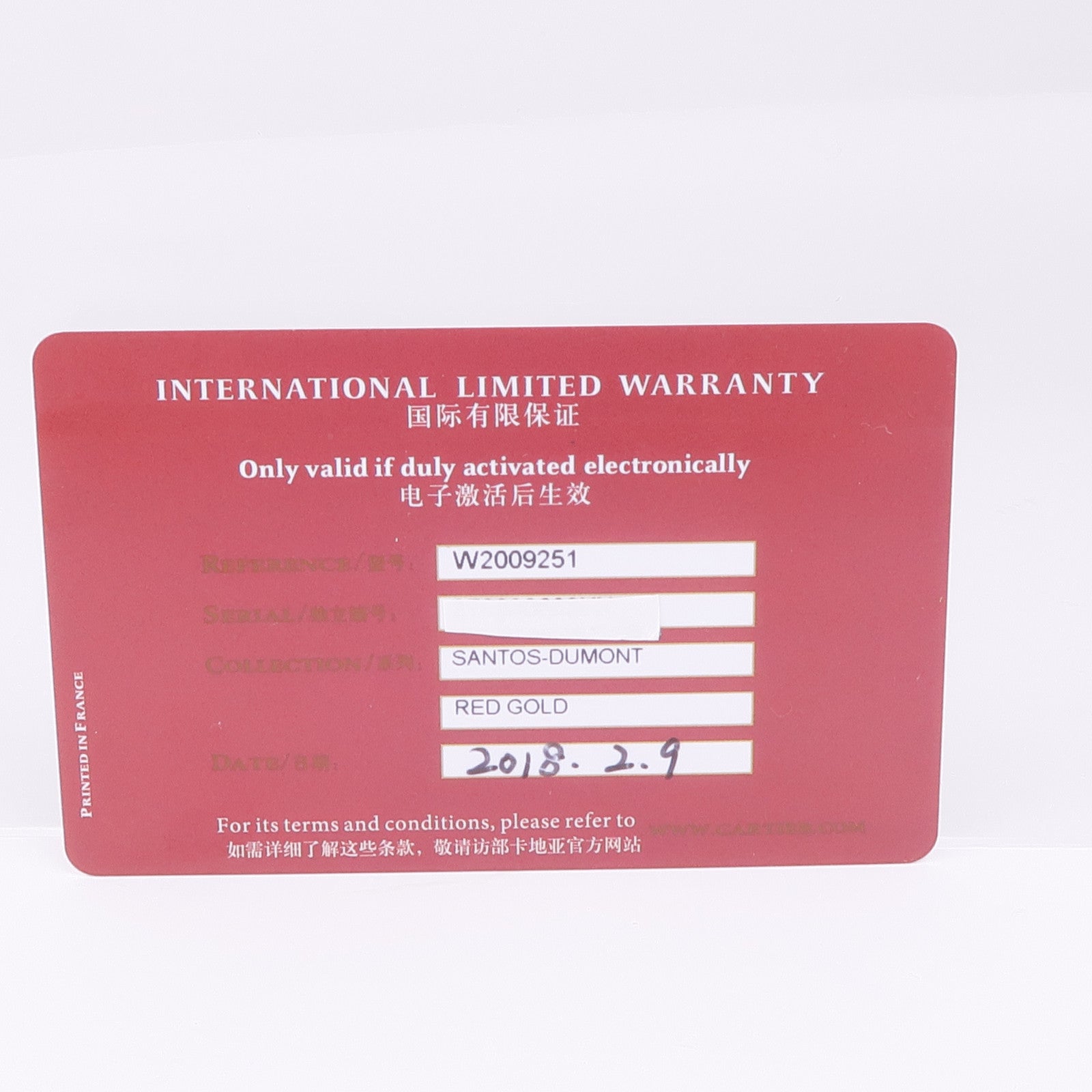 CARTIER Santos Dumont W2009251