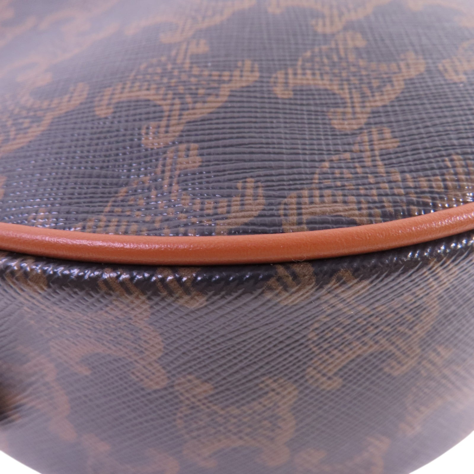 CELINE Triomphe帆布Small Heloise Shoulder Bag金扣肩背袋