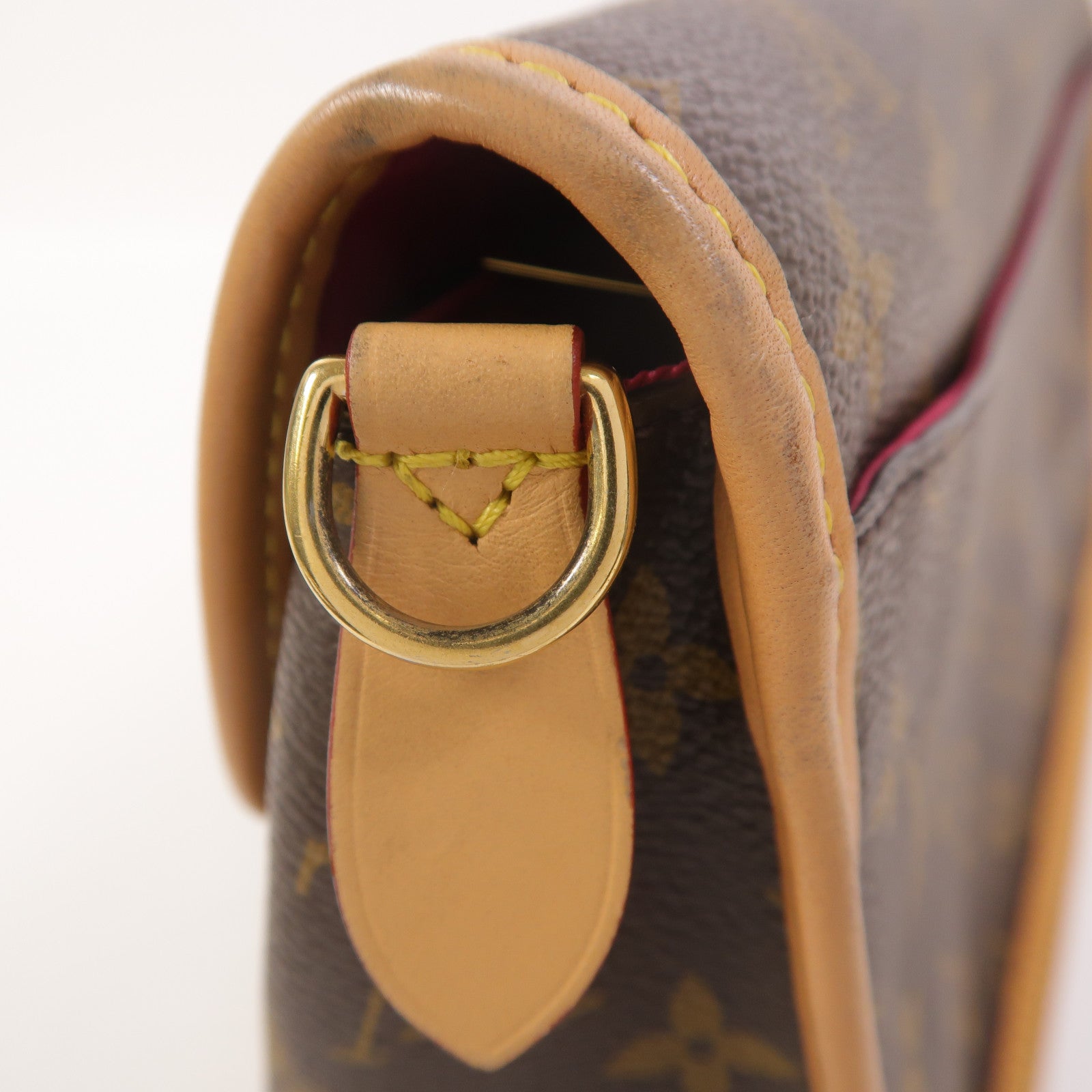 LOUIS VUITTON Monogram Diane肩背袋