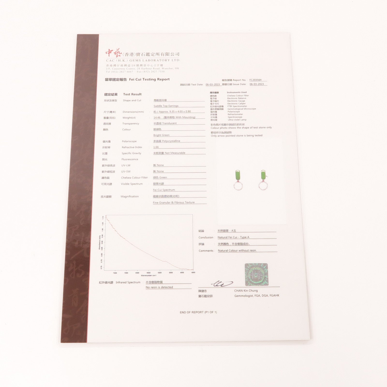 JEWELRY 18K白金Jade Earrings耳環
