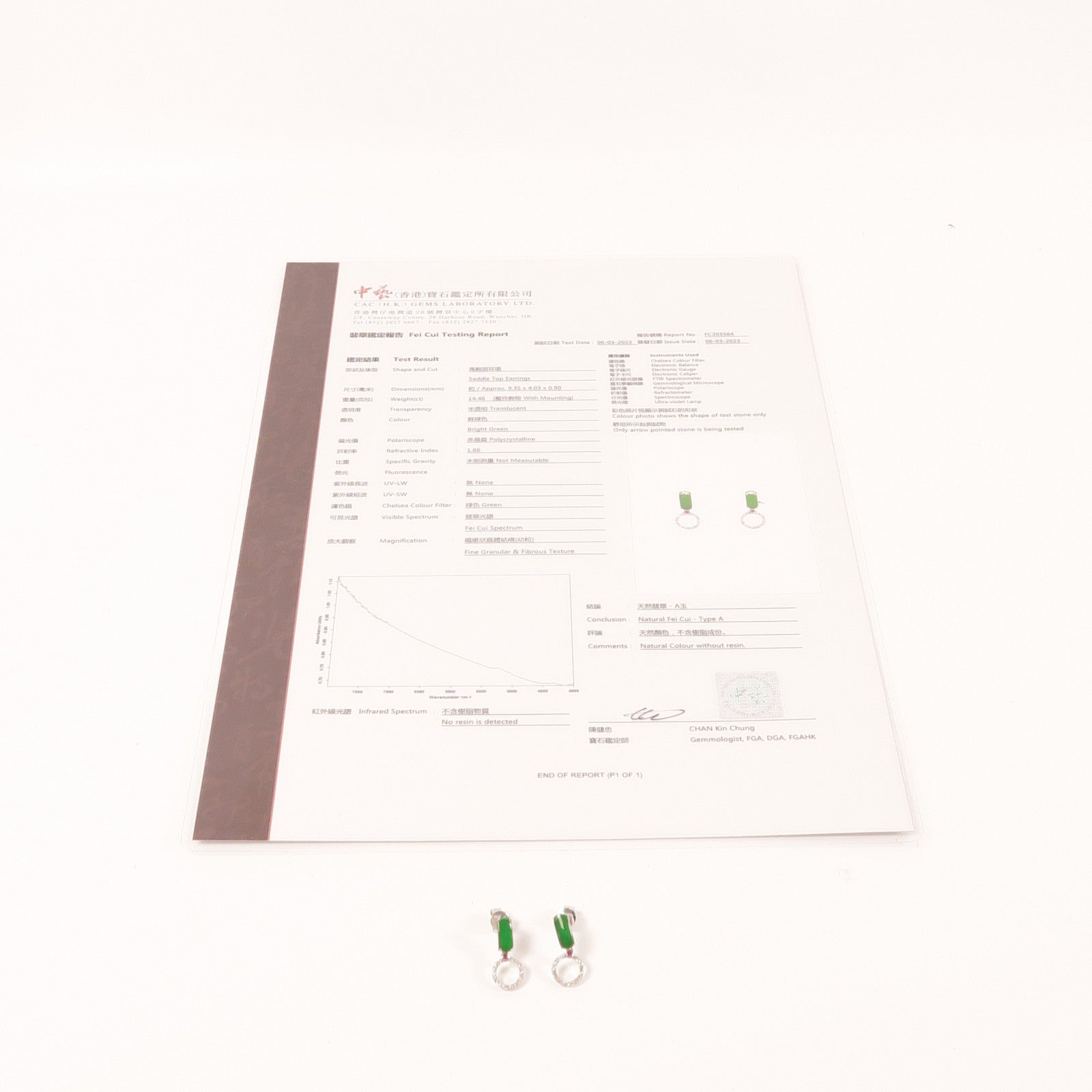 JEWELRY 18K白金Jade Earrings耳環