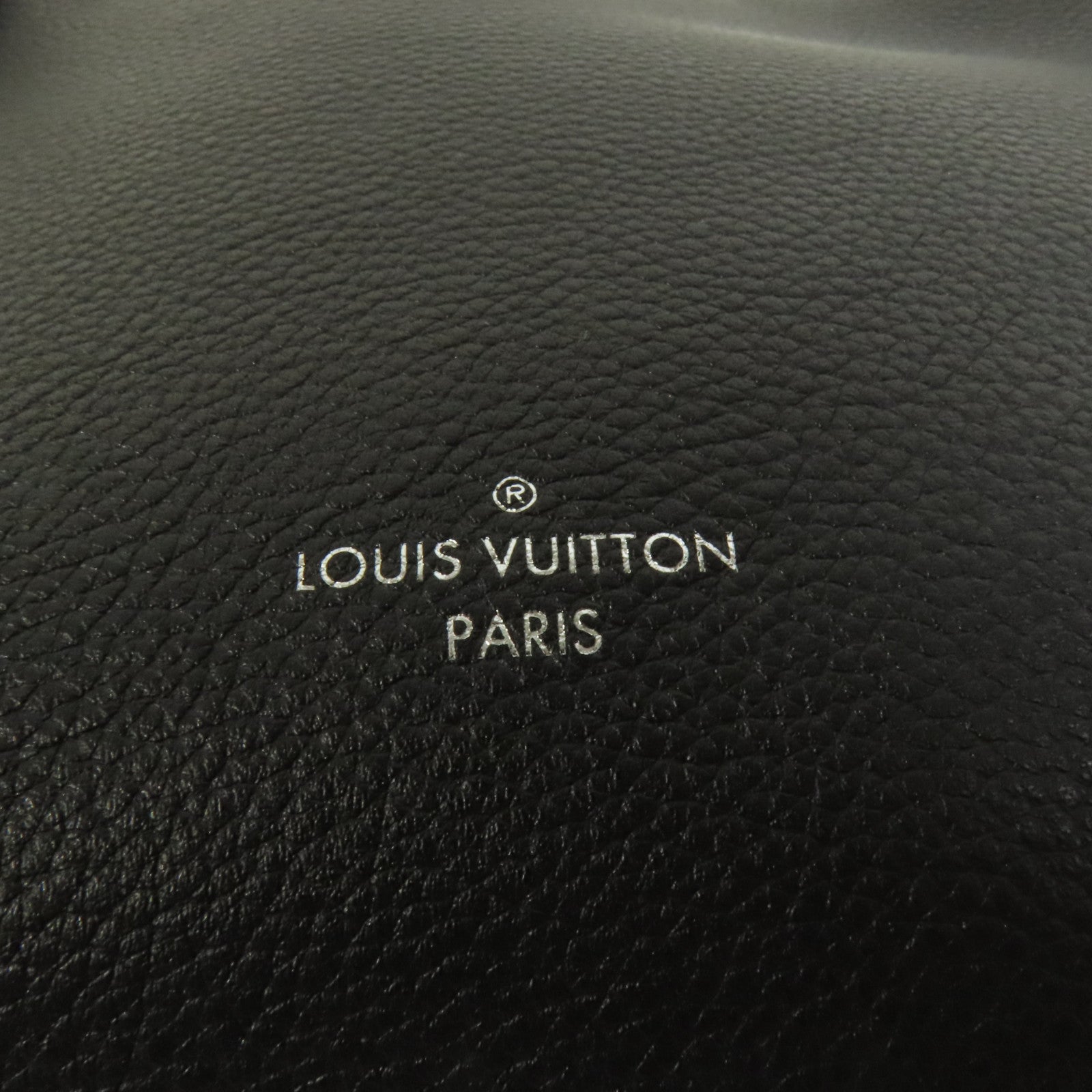 LOUIS VUITTON 牛皮皮革Side Trunk MM銀扣肩背袋
