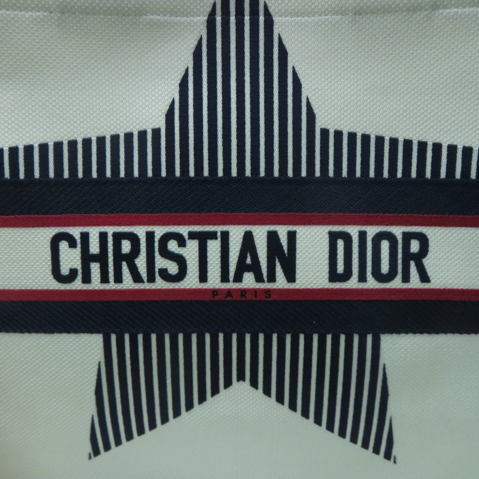 Dior 【激減優惠】帆布Book Tote Bag手挽袋藍色/白色