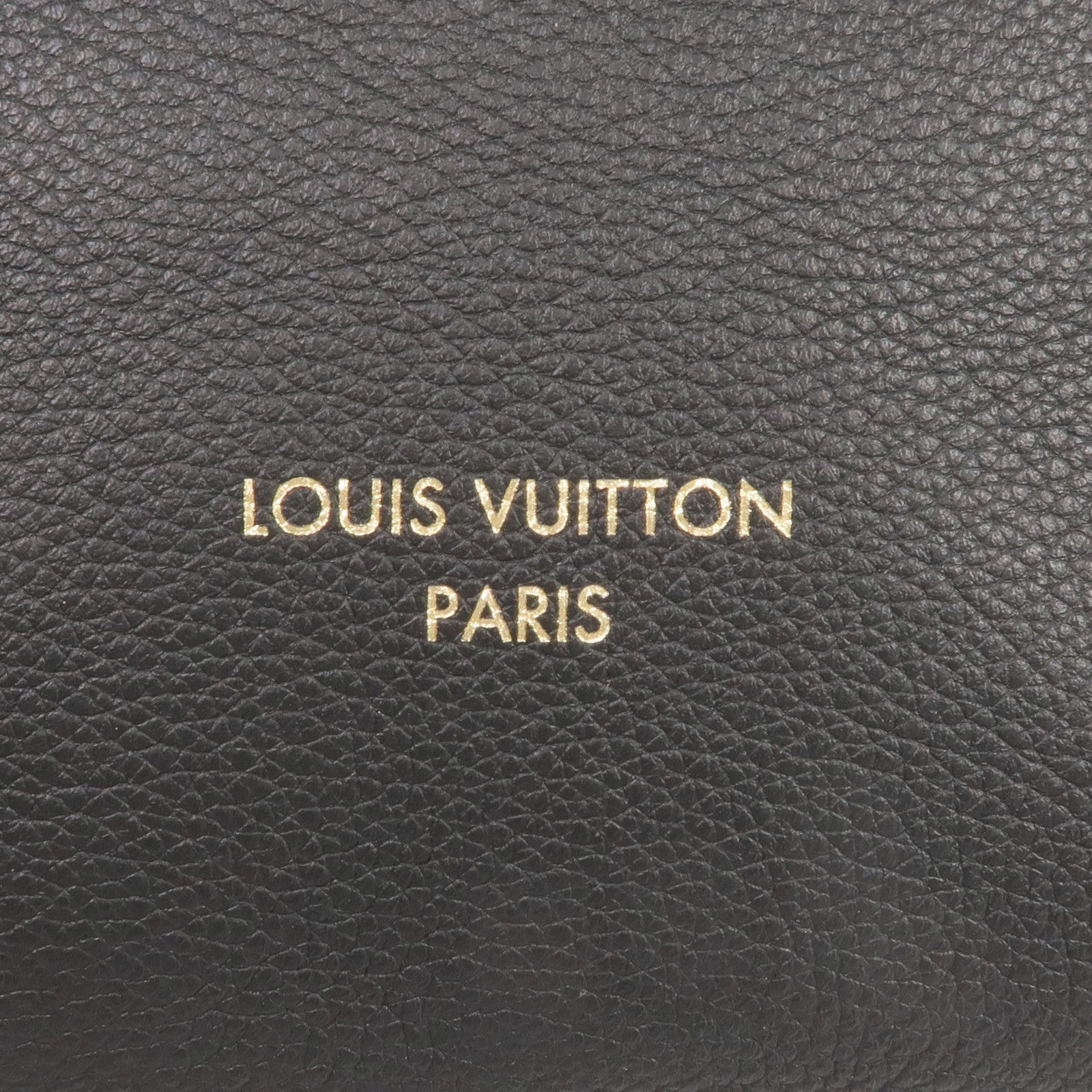 LOUIS VUITTON 牛皮皮革Low Key Hobo PM金扣肩背袋