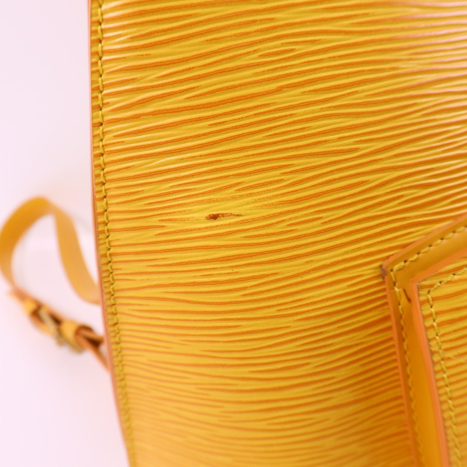 LOUIS VUITTON Epi Gobelins Backpack金扣背包