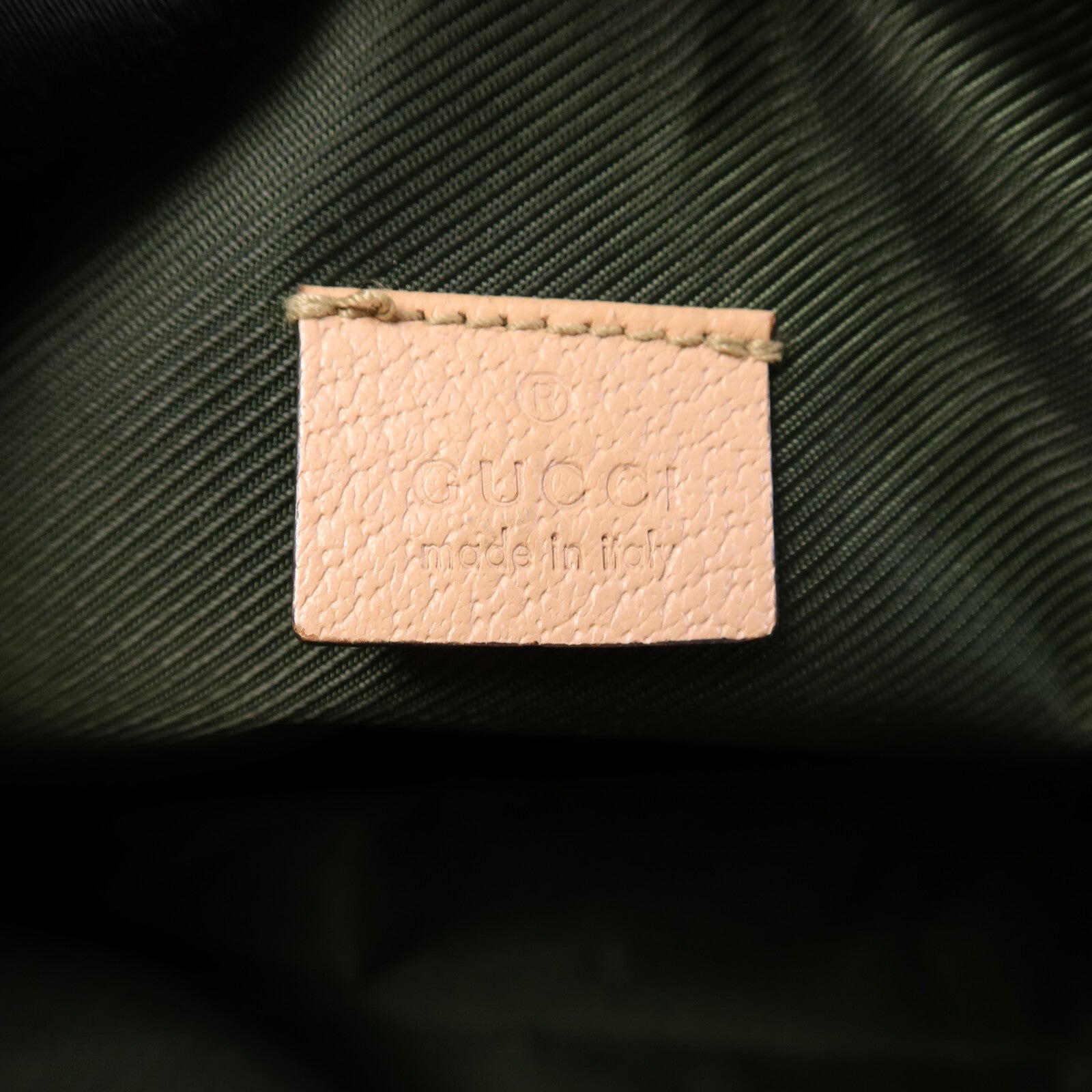GUCCI 帆布Hand Bag手挽袋